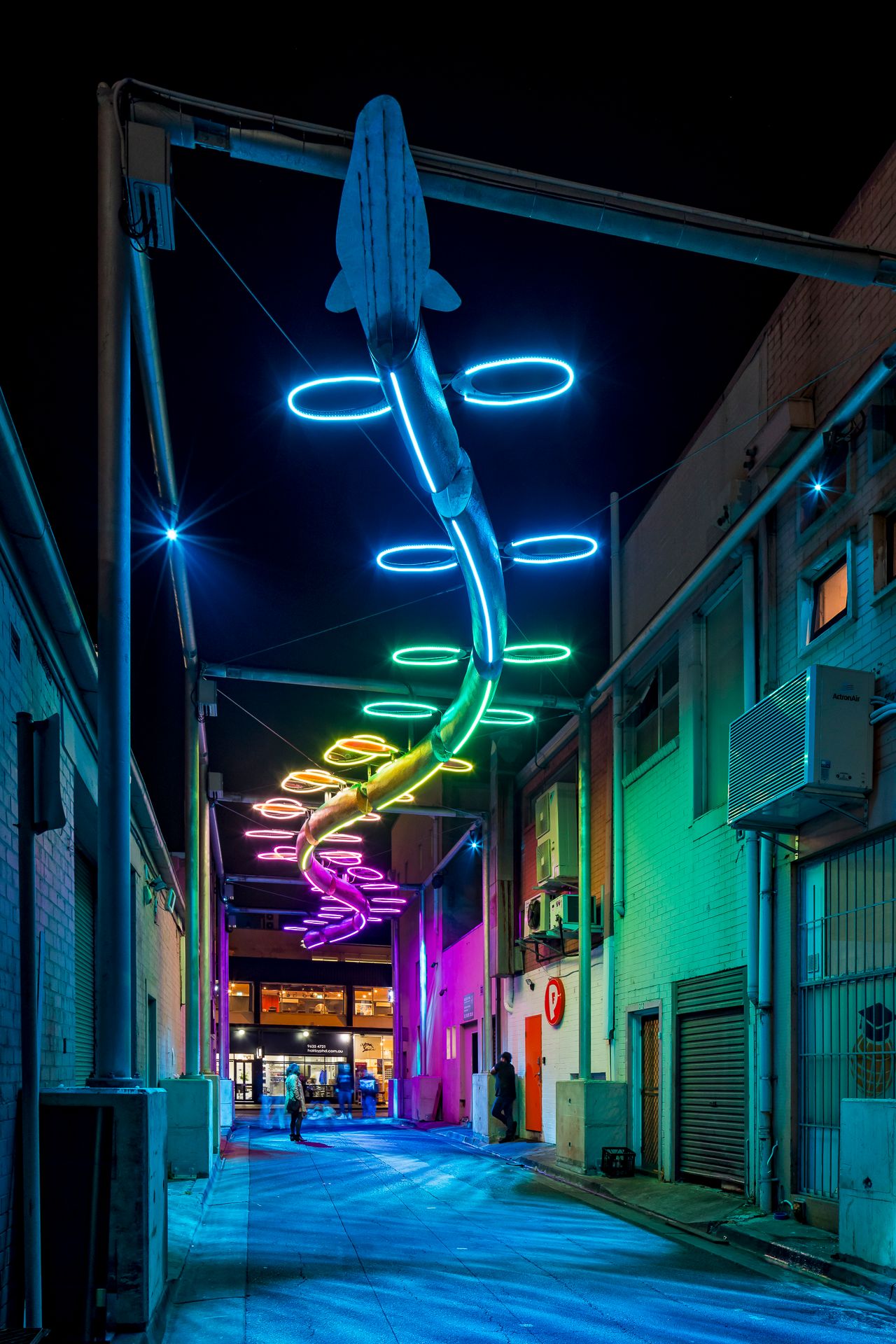 Neon fish sculpture glowing blue, green and orange with spiral rings above a night laneway lined with green and pink walls.