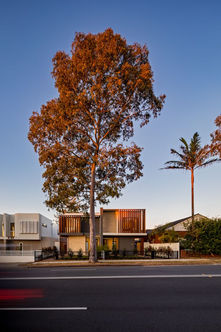Modern two-storey home with timber battens and a large eucalyptus tree out front at sunset beside a quiet street.