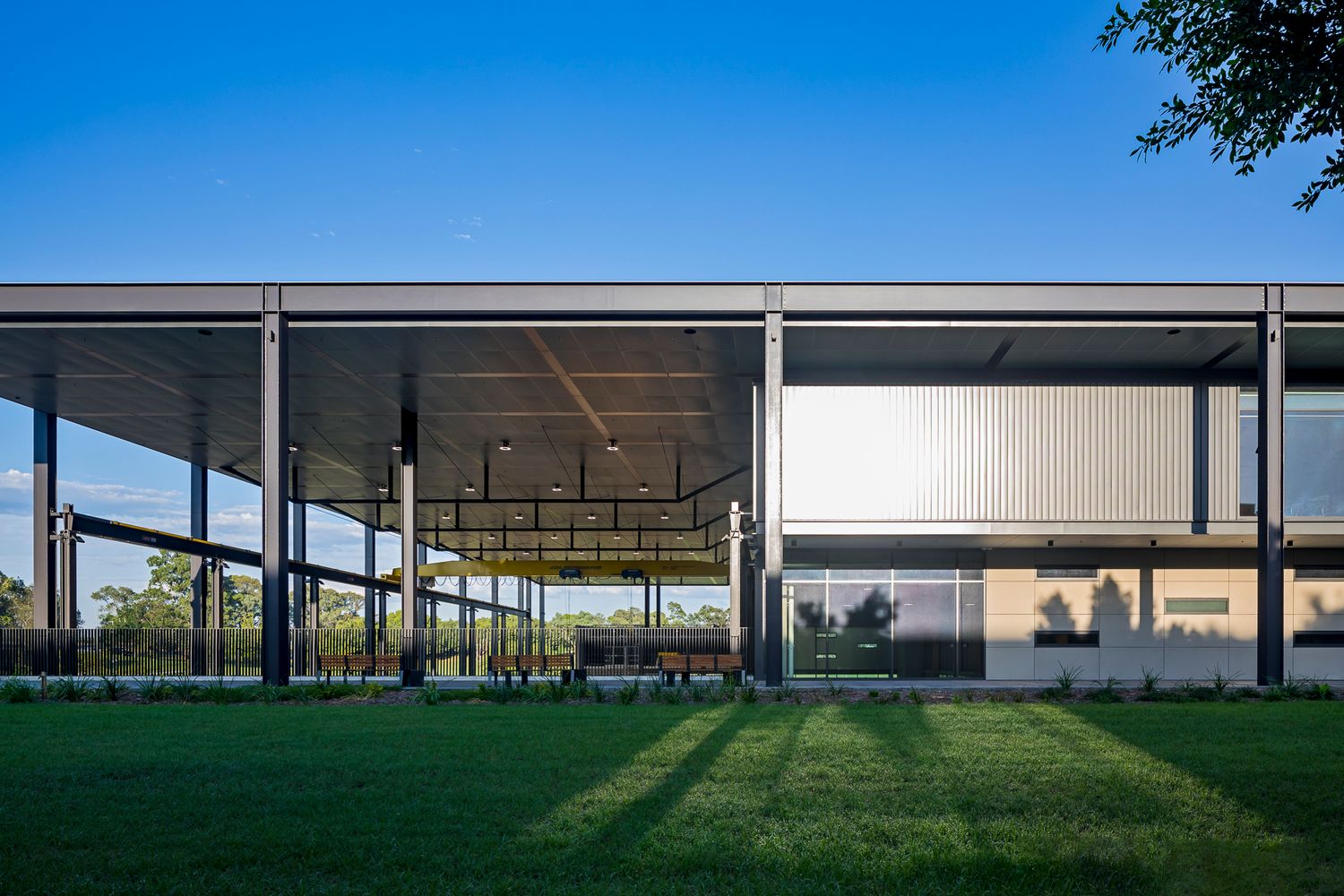 Modern TAFE campus pavilion with slender steel columns, corrugated cladding and long shadows across a lush green lawn.