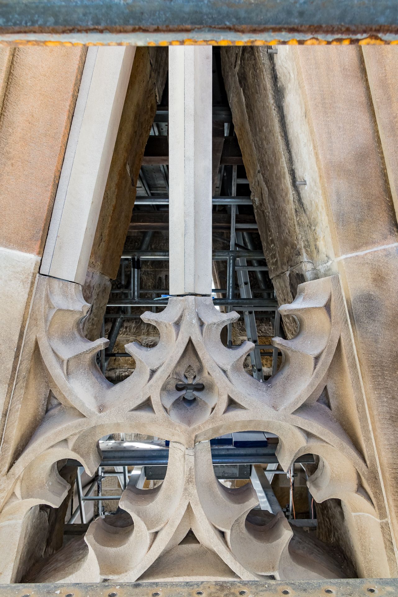 Upward view of ornate Gothic stone tracery with curved floral shapes framing steel scaffolding in the background.
