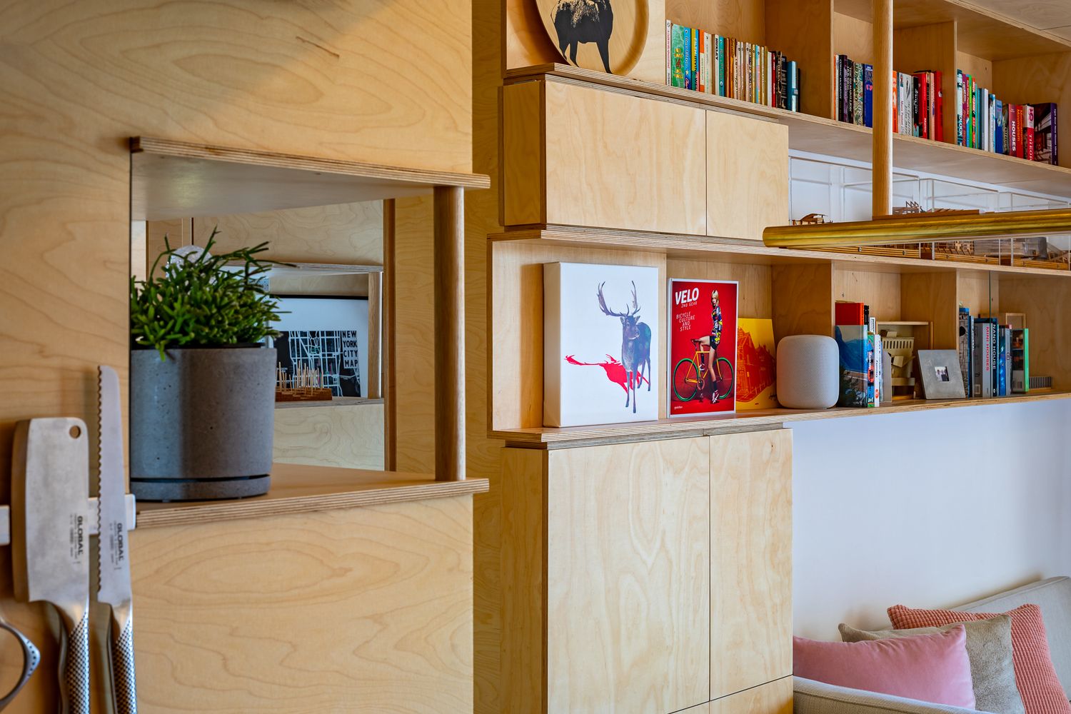 Plywood shelving unit with books and decor beside a pass-through window featuring a potted plant.