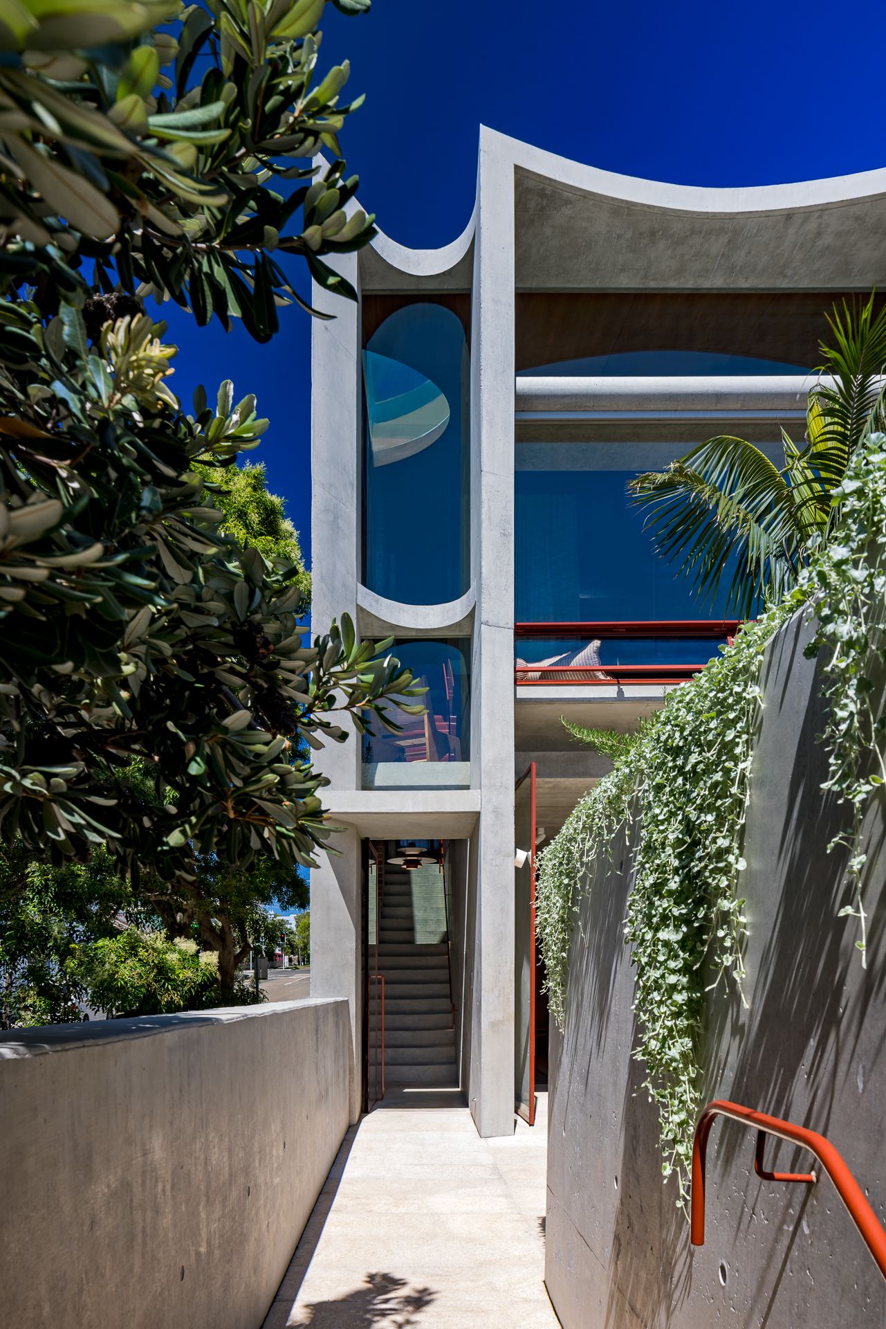 Concrete architectural entrance with arched windows, trailing vines and a stairway leading up beneath a deep blue sky.