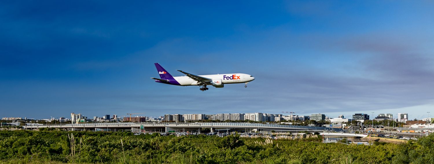 FedEx cargo jet descending to land over a green tree line with a city skyline in the distance.