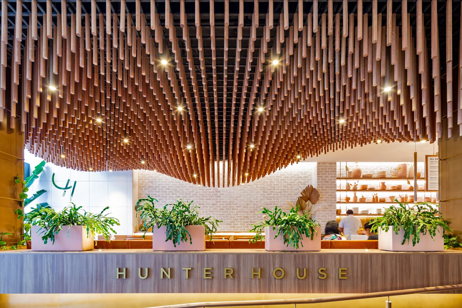 Hunter House cafe counter with leafy green planters, shelves of goods and a wavy wooden slat ceiling lit by small spotlights.