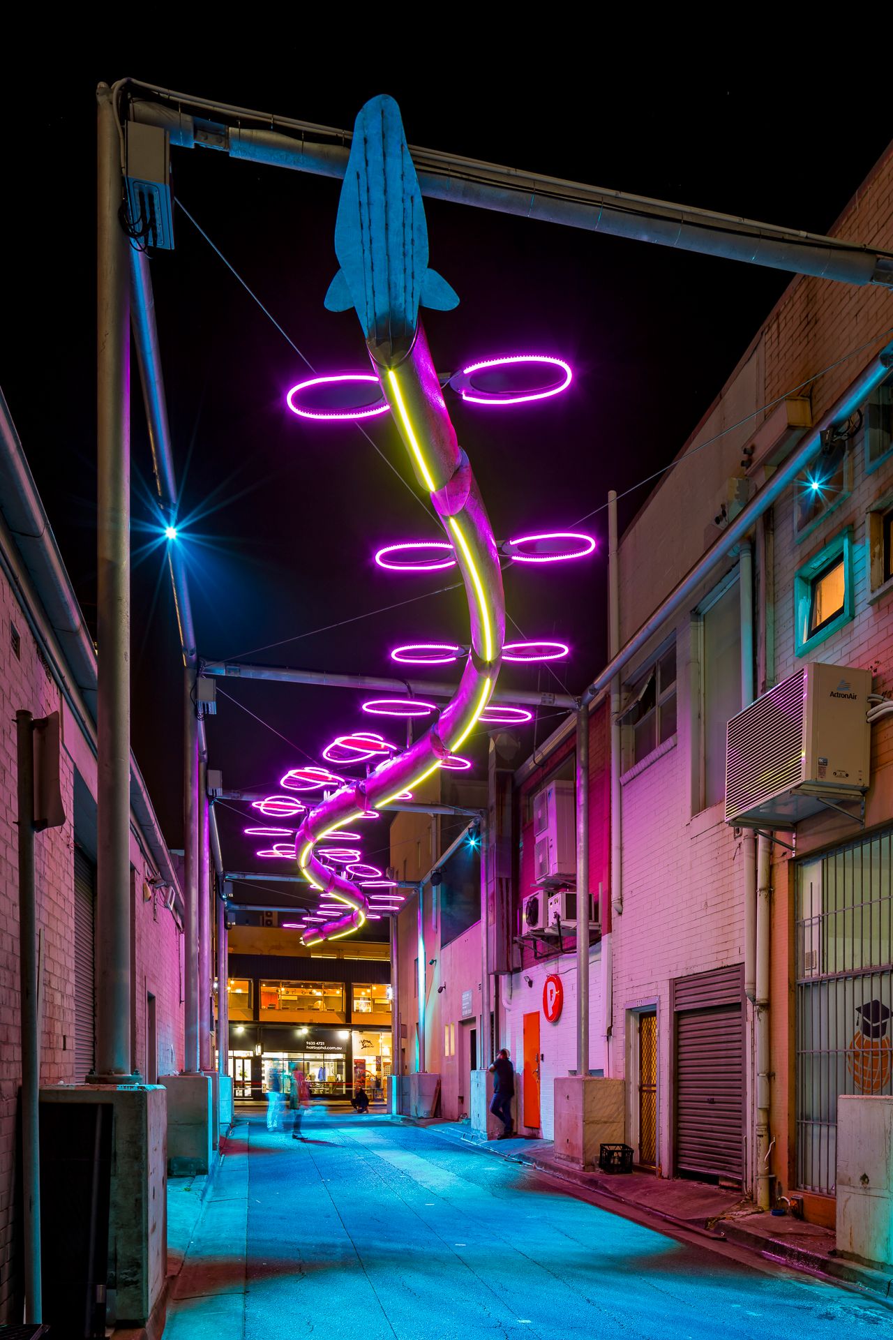 Pink and magenta neon fish light artwork with glowing rings hanging above a city alley at night, lit buildings along both sides.