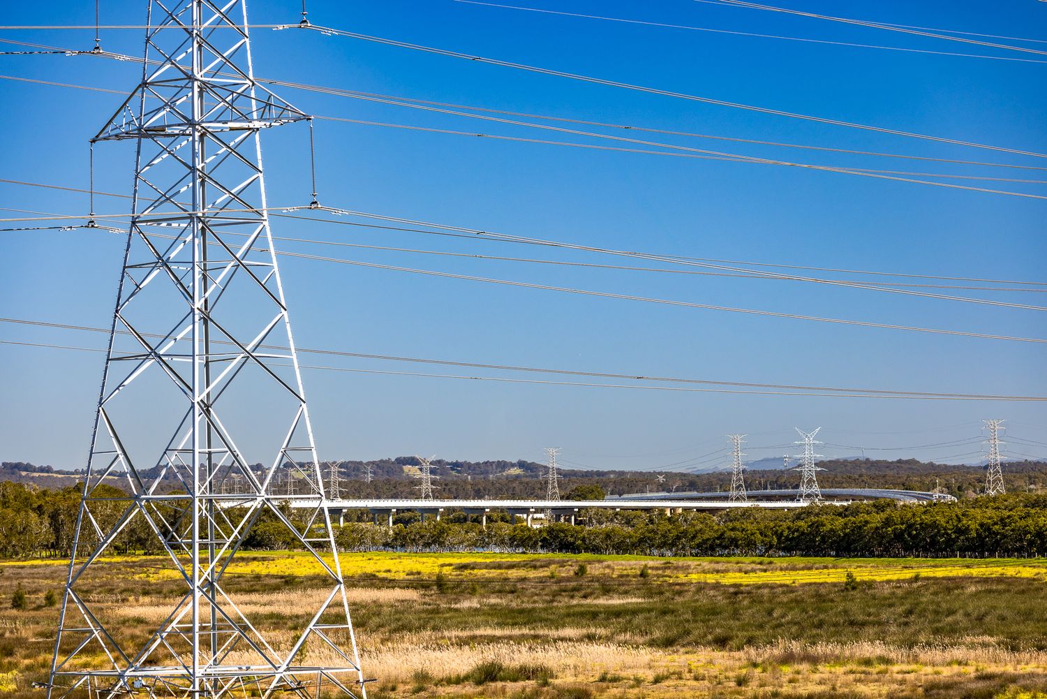 Steel electricity pylon and power lines in the foreground with a motorway bridge crossing wetlands in the distance.