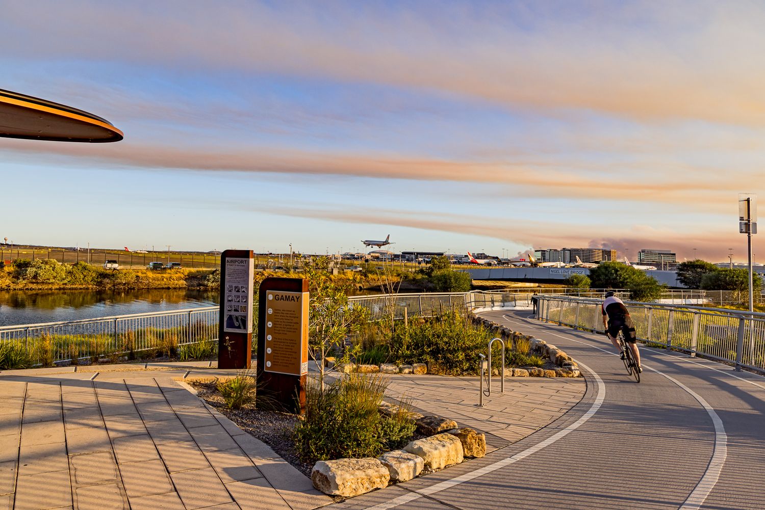 Cyclist rides along a waterfront path past information signs and native plants as a plane flies in the sunset sky.