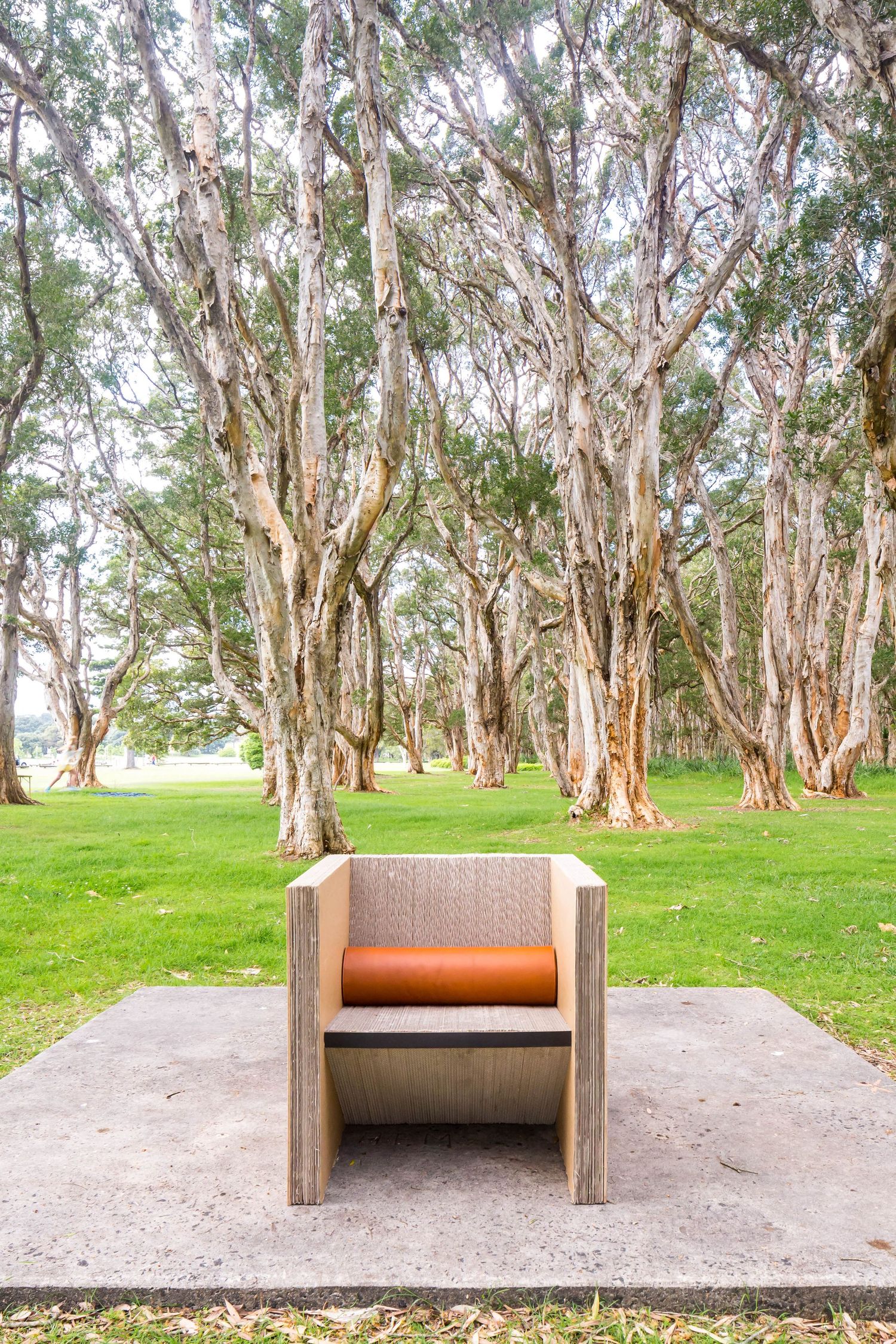 Modern wooden armchair with an orange cushion on a concrete pad in a grassy park surrounded by paperbark trees.