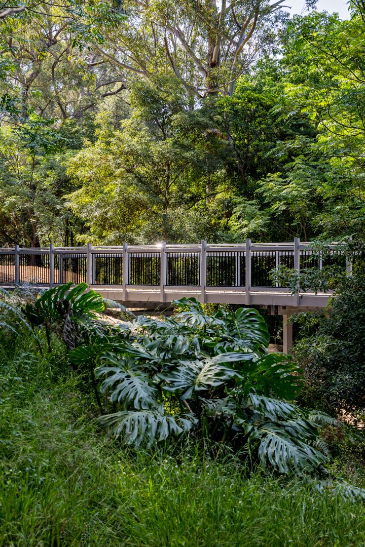 Timber footbridge with metal railings crossing a lush green park, framed by tall eucalyptus trees and large monstera leaves.