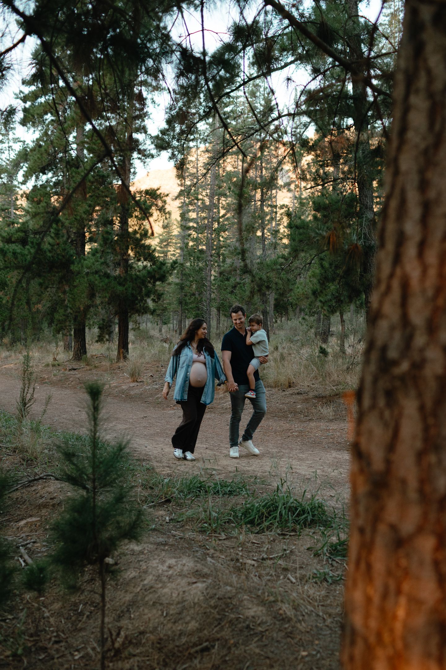 Expecting couple walks hand in hand with their toddler along a forest trail lined with pine trees at golden hour.