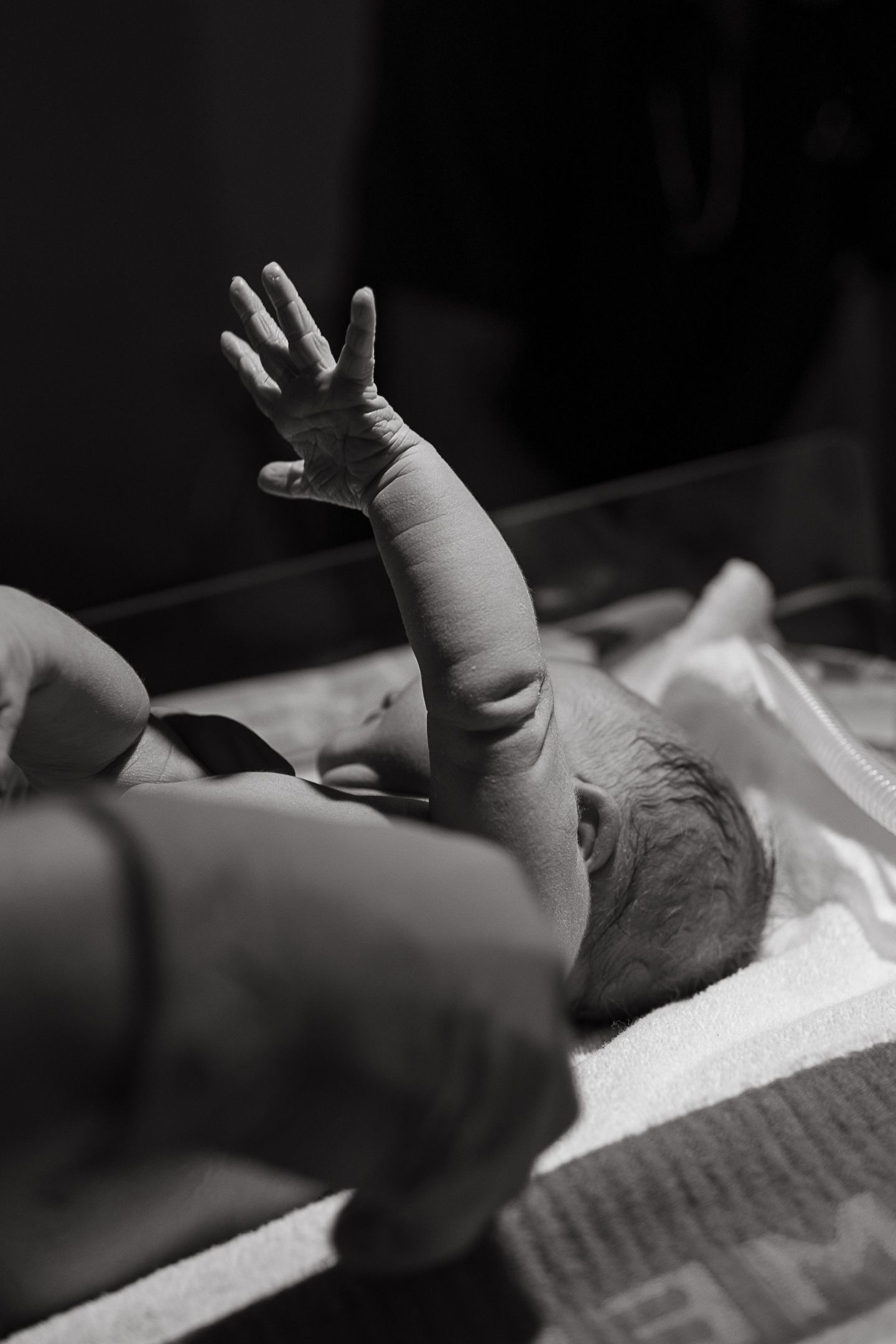 Black and white photo of a newborn baby lying on a blanket with one tiny hand raised, while an adult hand gently supports nearby.
