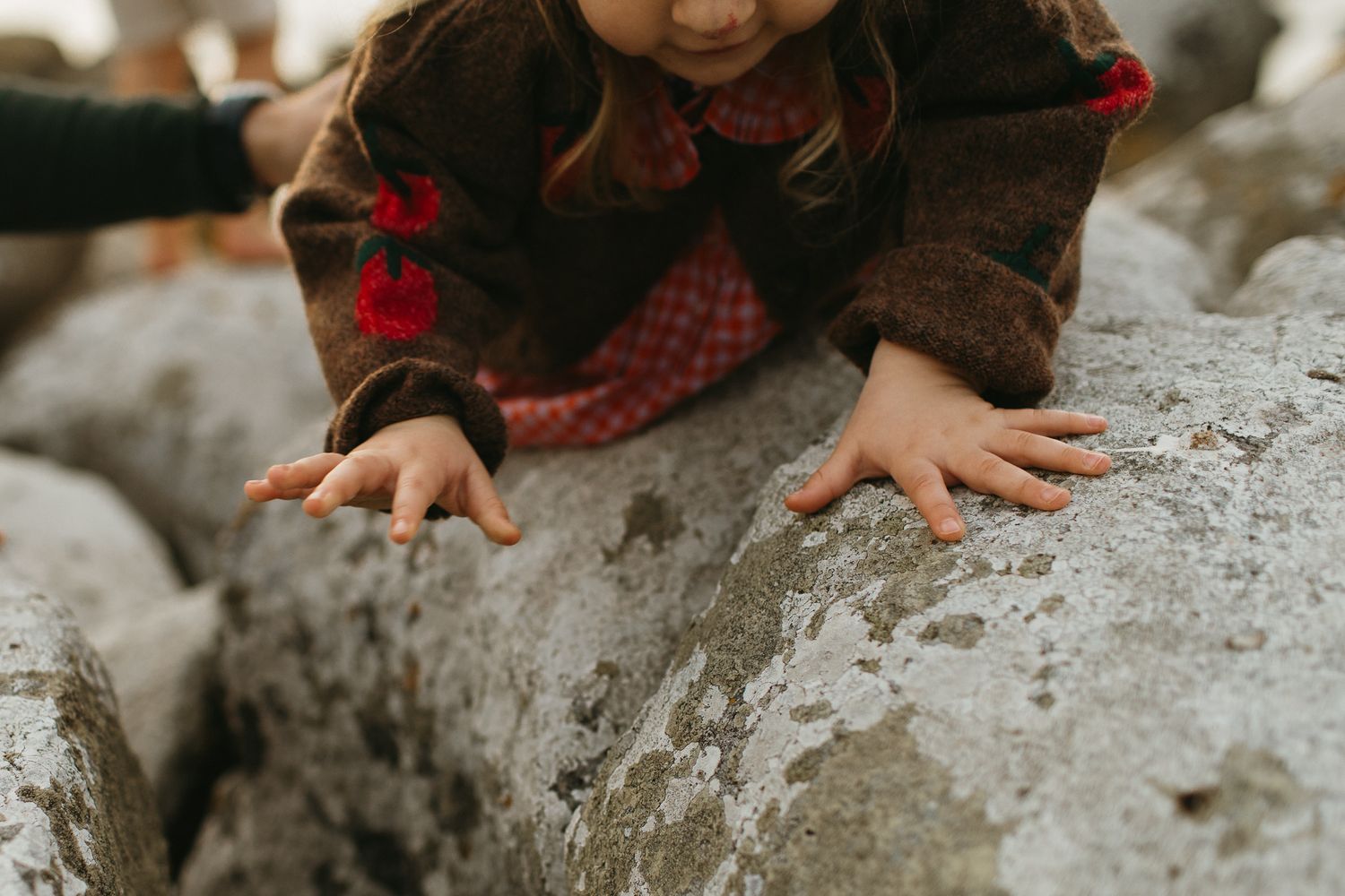 Close-up of a toddler in a fuzzy brown jacket with red flowers placing her hands on a large gray rock.