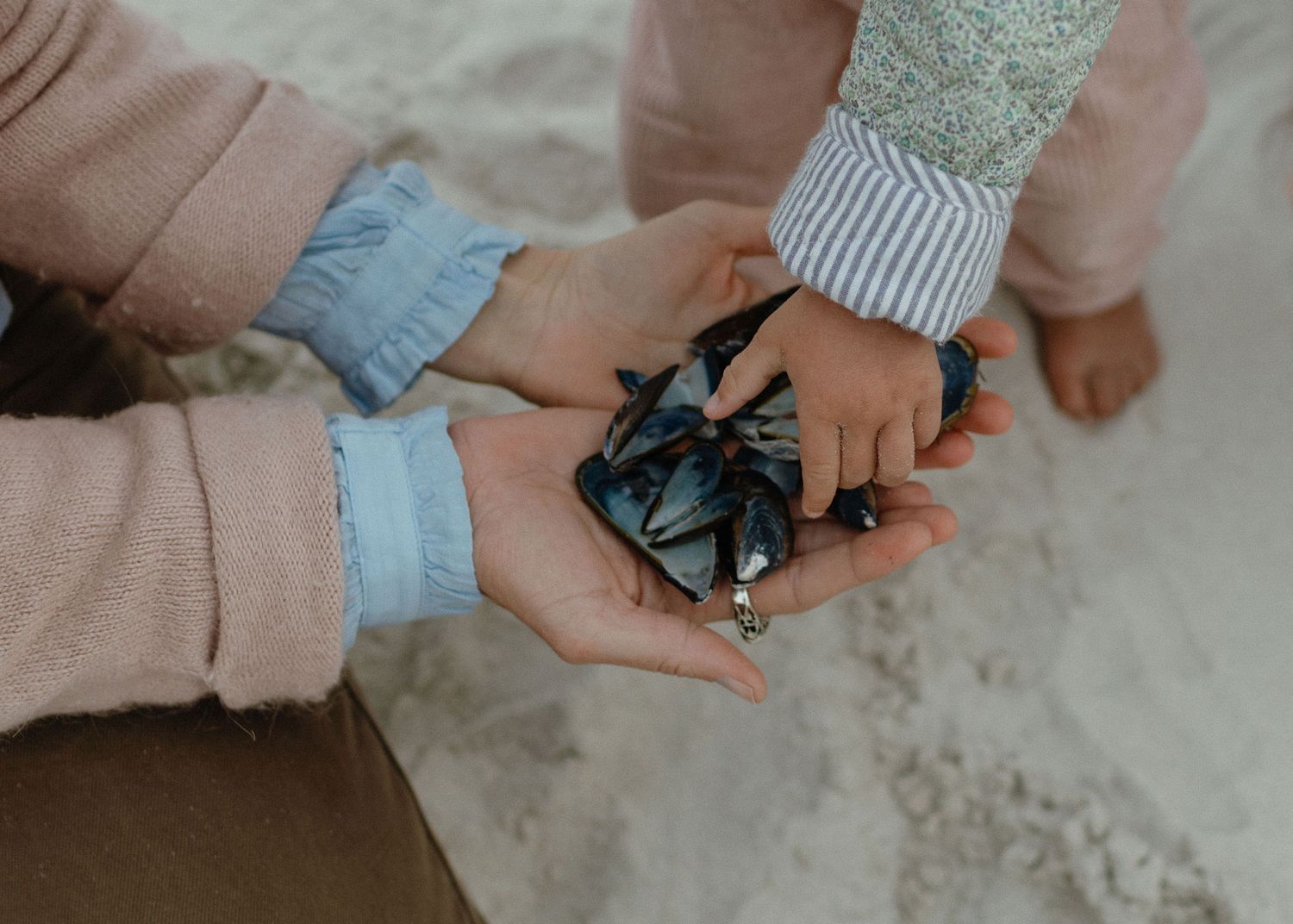 A mother and toddler hold a cluster of dark blue mussel shells in their cupped hands on a sandy beach.