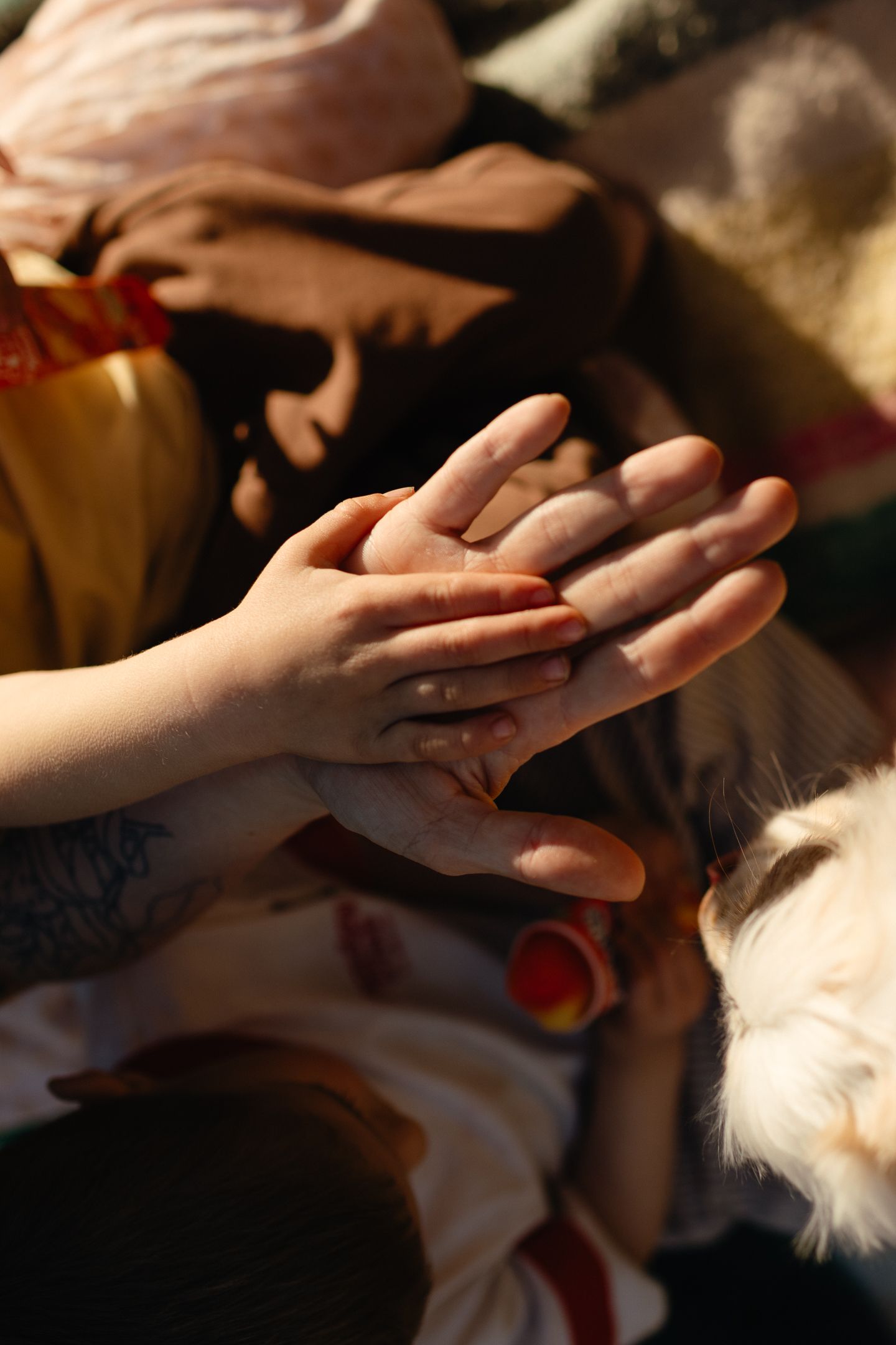 Close-up of a child's small hand pressed against an adult's hand on a cozy blanket beside a fluffy dog.