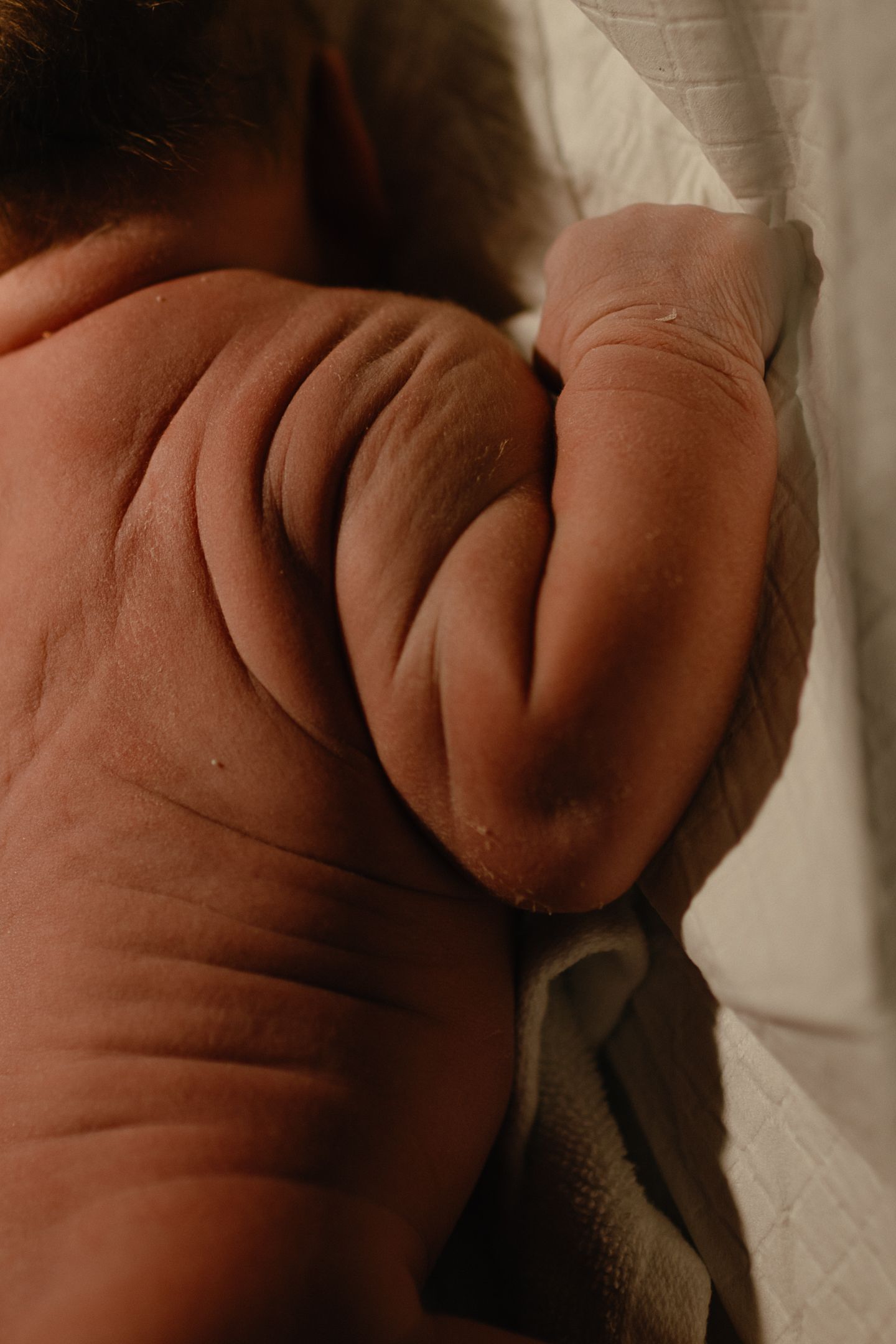 Close-up of a newborn baby's back and wrinkled arm resting on soft white bedding, showing delicate skin and tiny folds.