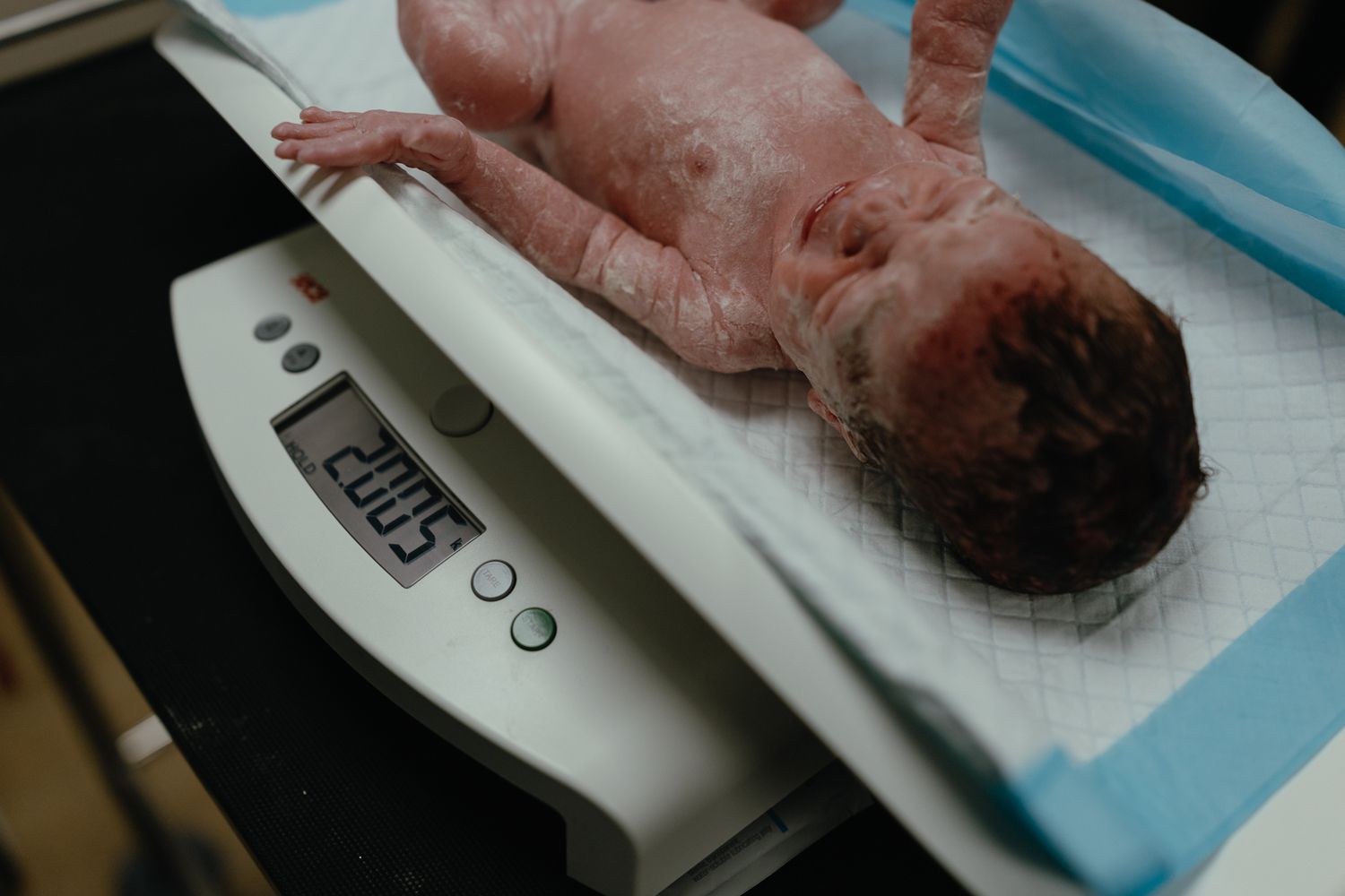 Newborn baby lying on a digital infant scale lined with a blue-trimmed pad, being weighed shortly after birth.
