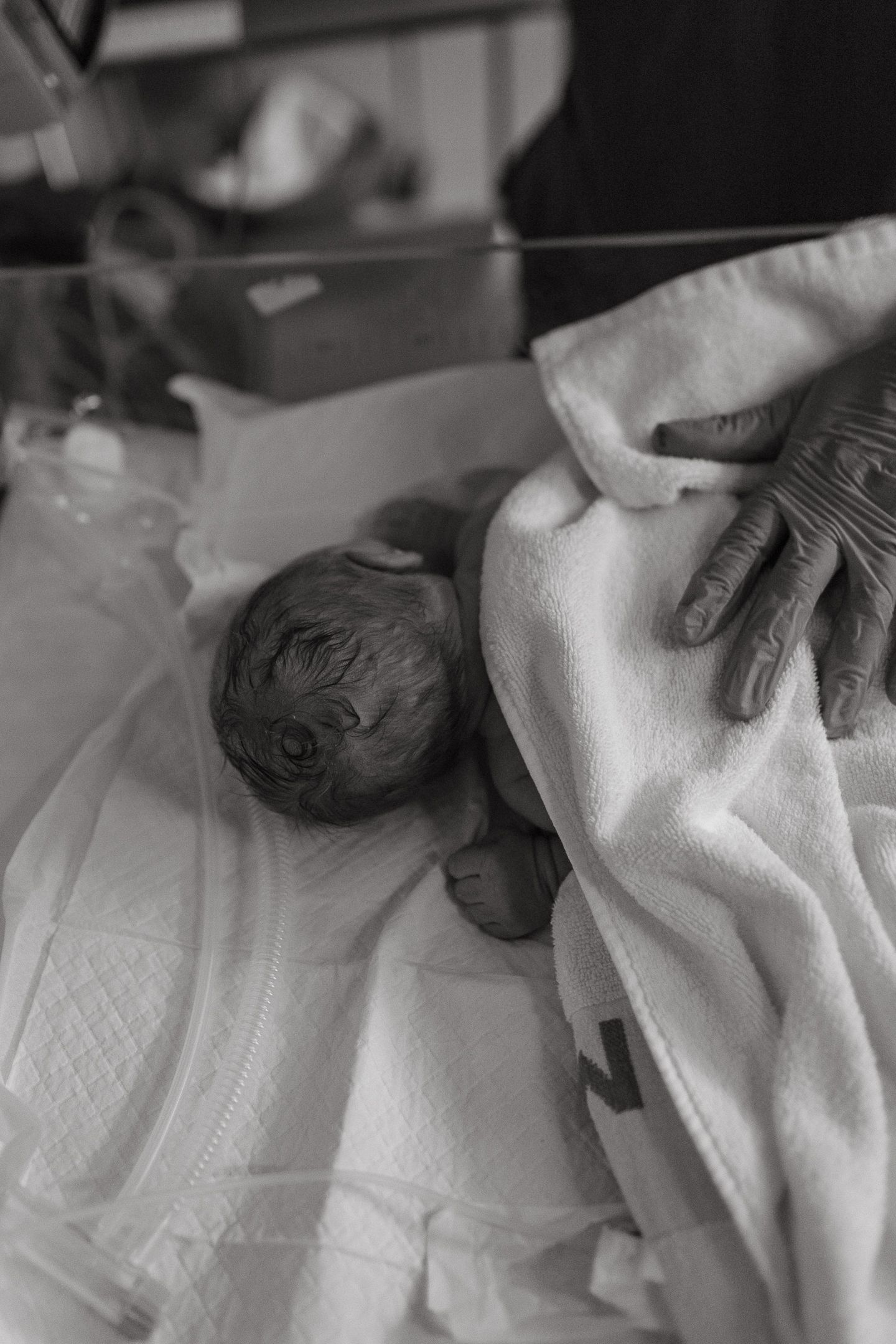 Black and white photo of a newborn baby with dark hair wrapped in a towel in a hospital bassinet as a gloved hand rests nearby.
