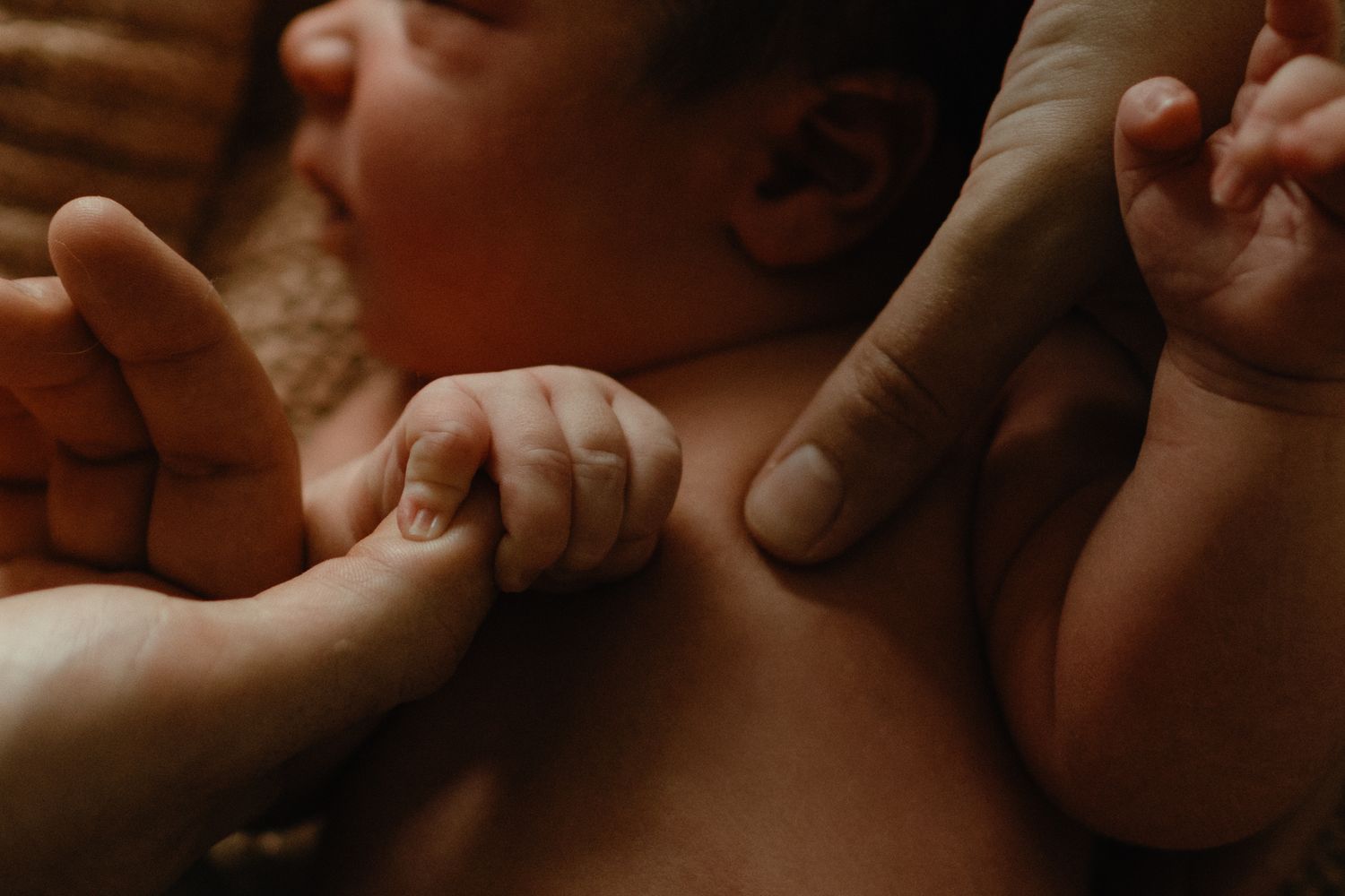 Close-up of a newborn baby's tiny hand gripping a parent's finger while adult hands gently hold the infant.