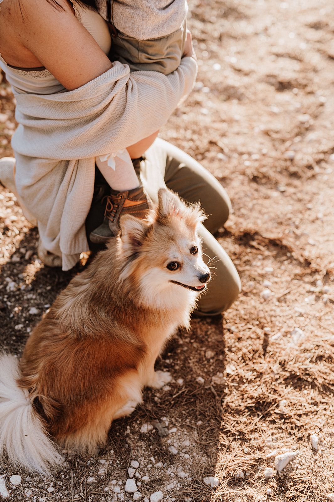 Fluffy Pomeranian dog sitting on sandy ground beside a person wearing a beige outfit outdoors.