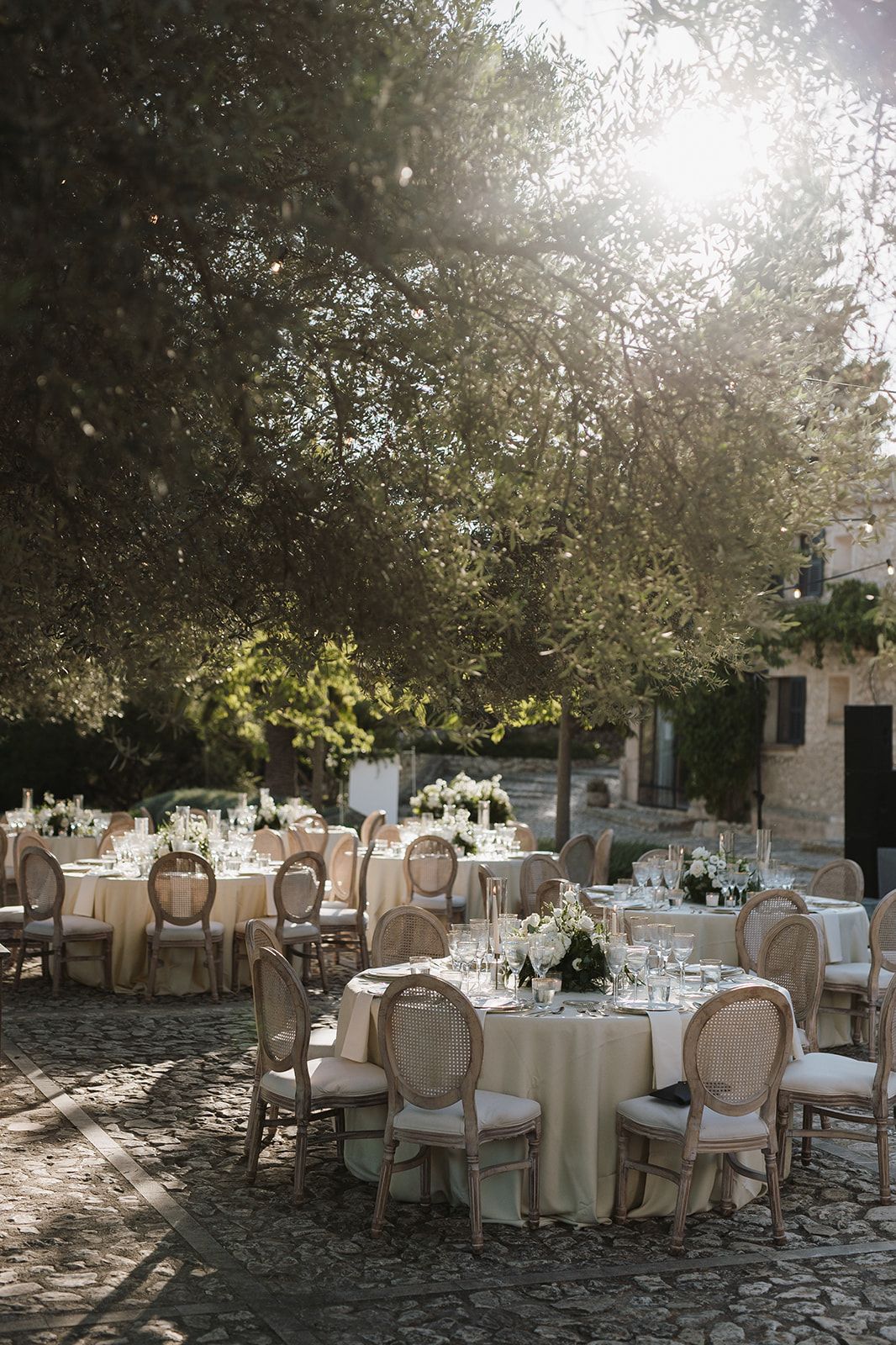 Elegant outdoor wedding reception with round tables, ivory linens, and floral centerpieces under olive trees.