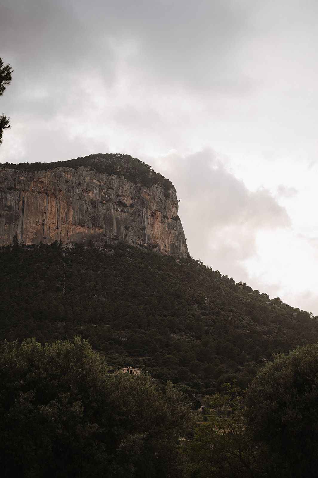 Rocky cliffside mountain covered in lush green trees under a cloudy sky at dusk.