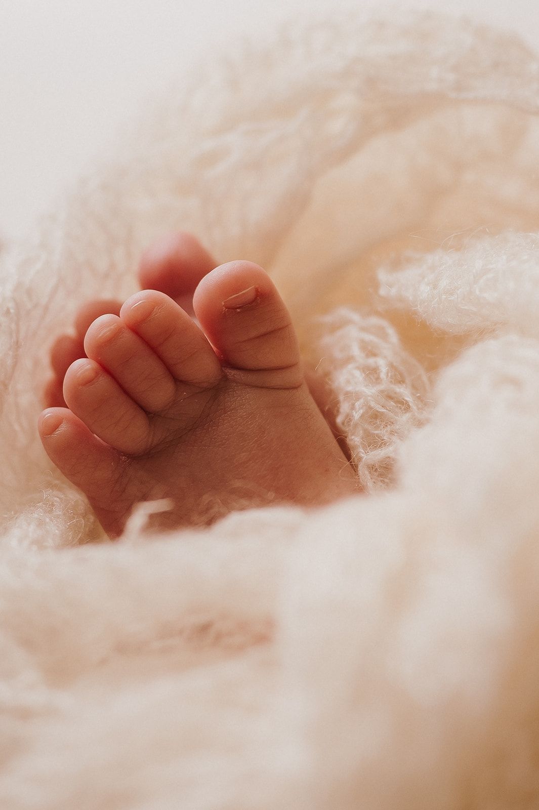 Close-up of tiny newborn baby feet wrapped in soft white fluffy blanket.