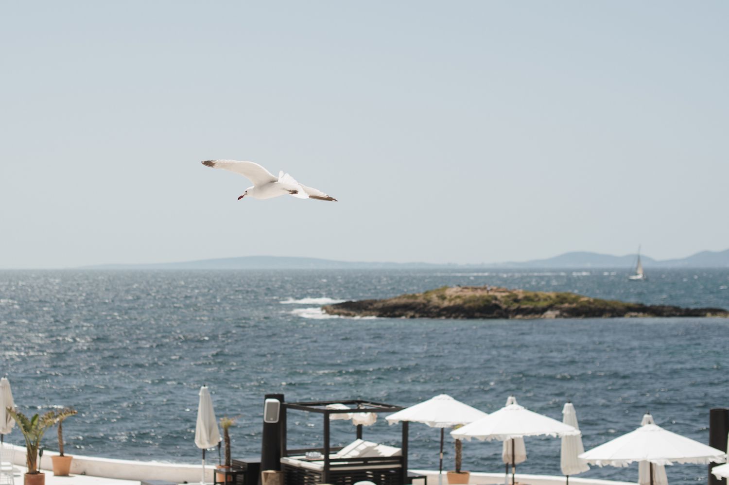 White seagull soars over sparkling Mediterranean Sea with white umbrellas and small island below.