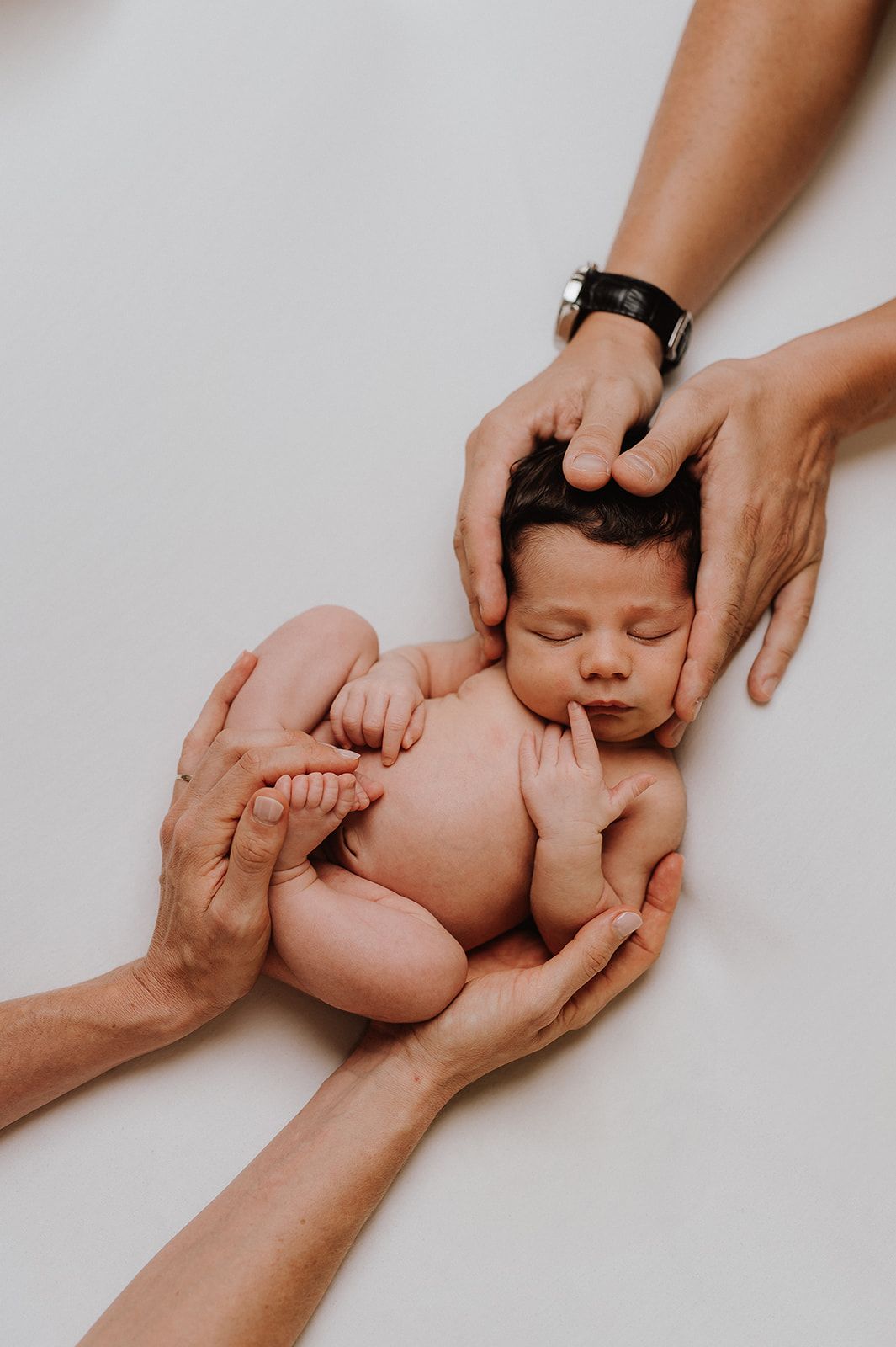 Newborn baby peacefully sleeping while cradled by multiple loving hands on a white background.