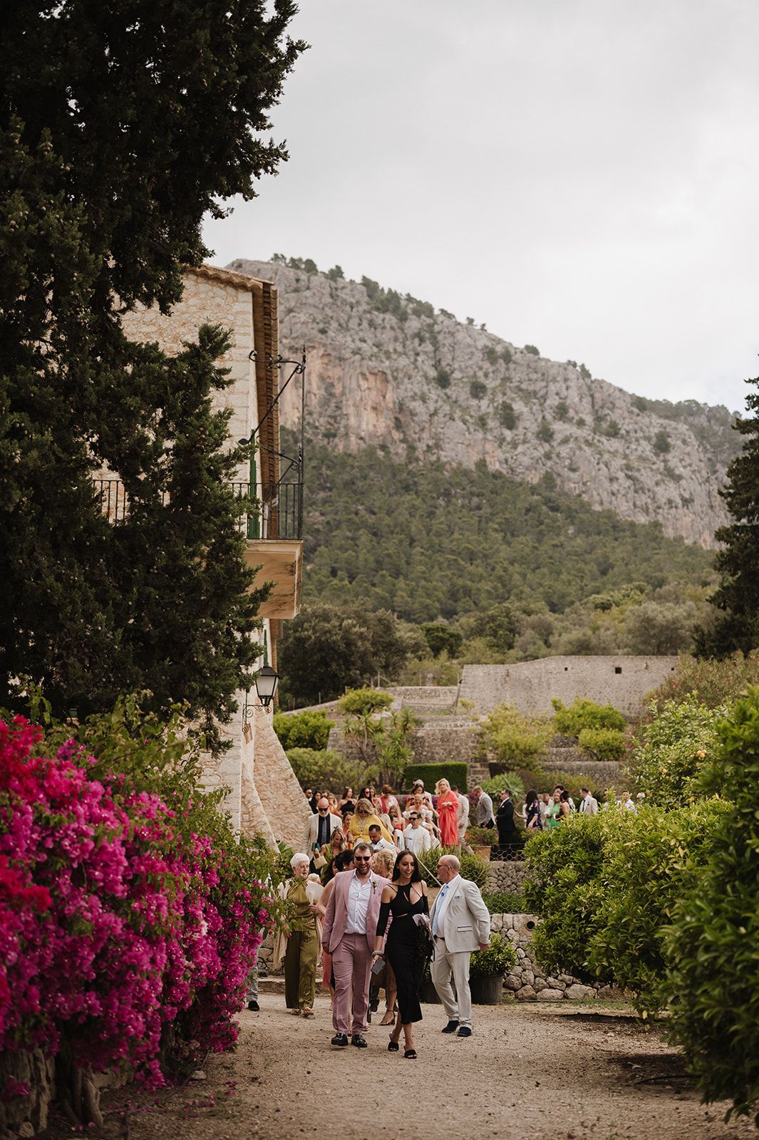 Wedding guests stroll along garden path lined with pink bougainvillea beneath rocky mountain backdrop.