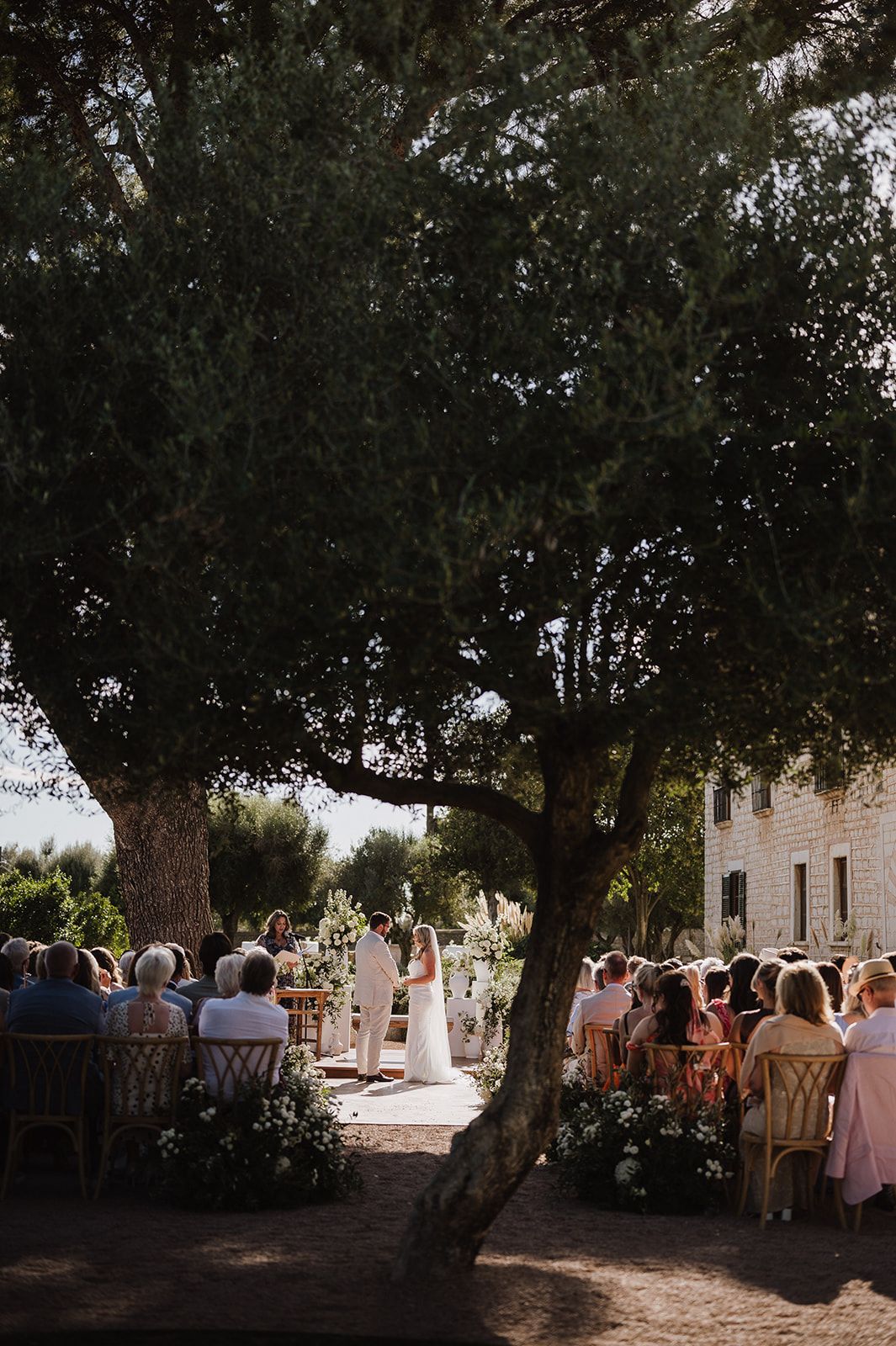 Outdoor wedding ceremony under a large olive tree with guests seated and couple at the altar.