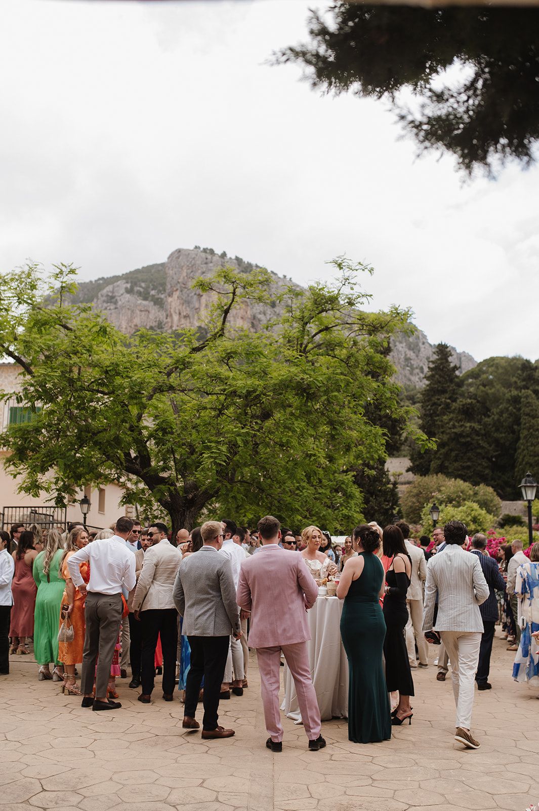 Elegantly dressed wedding guests mingle outdoors on a stone patio with a dramatic mountain backdrop.