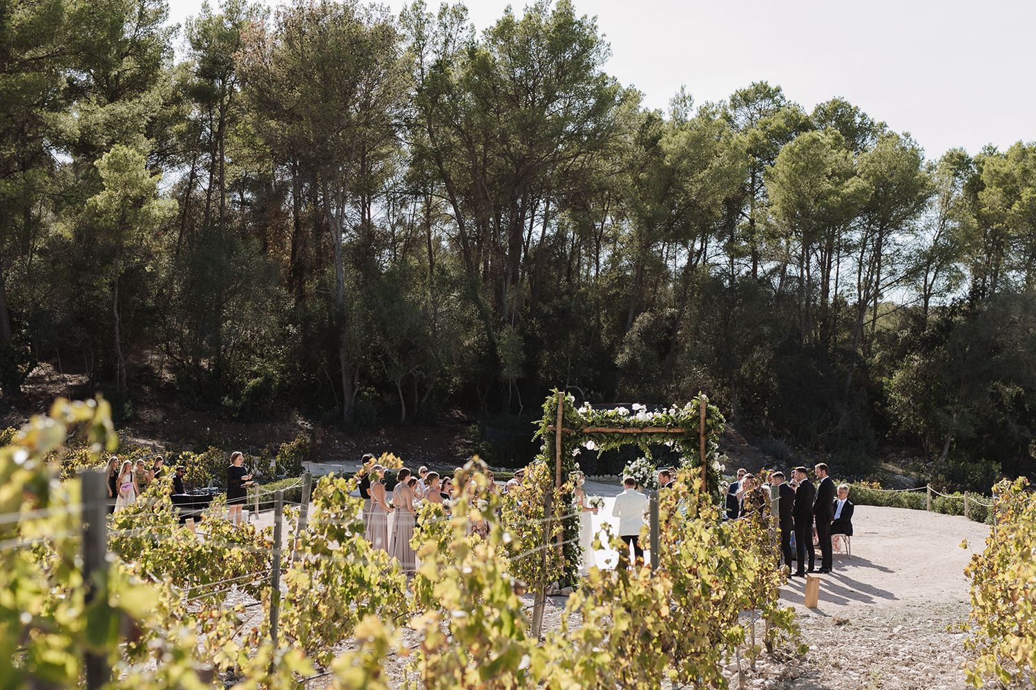 Outdoor vineyard wedding ceremony with a floral arch surrounded by lush green vines and trees.
