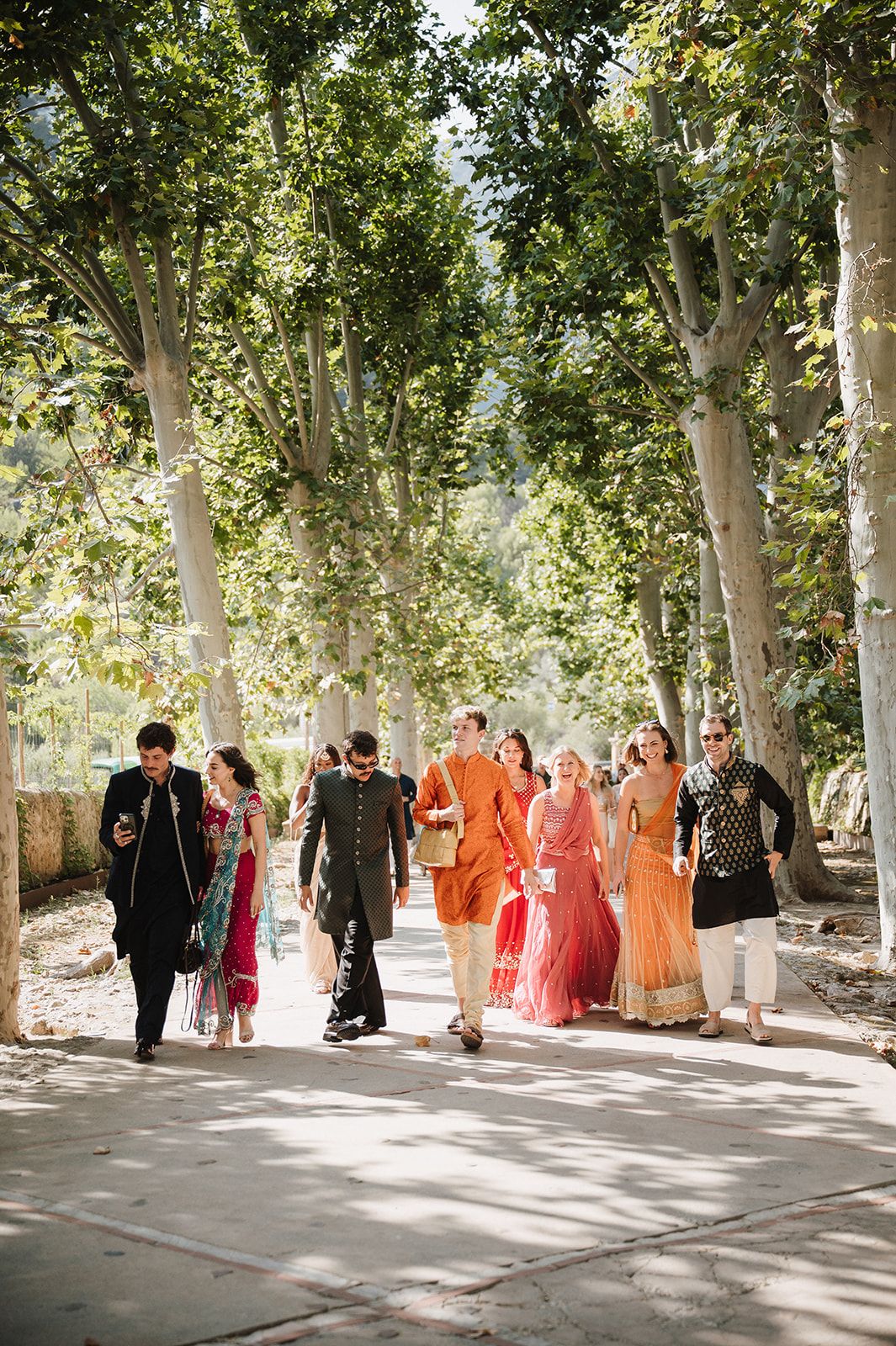 Wedding guests in colorful Indian attire walking through tree-lined path to ceremony.