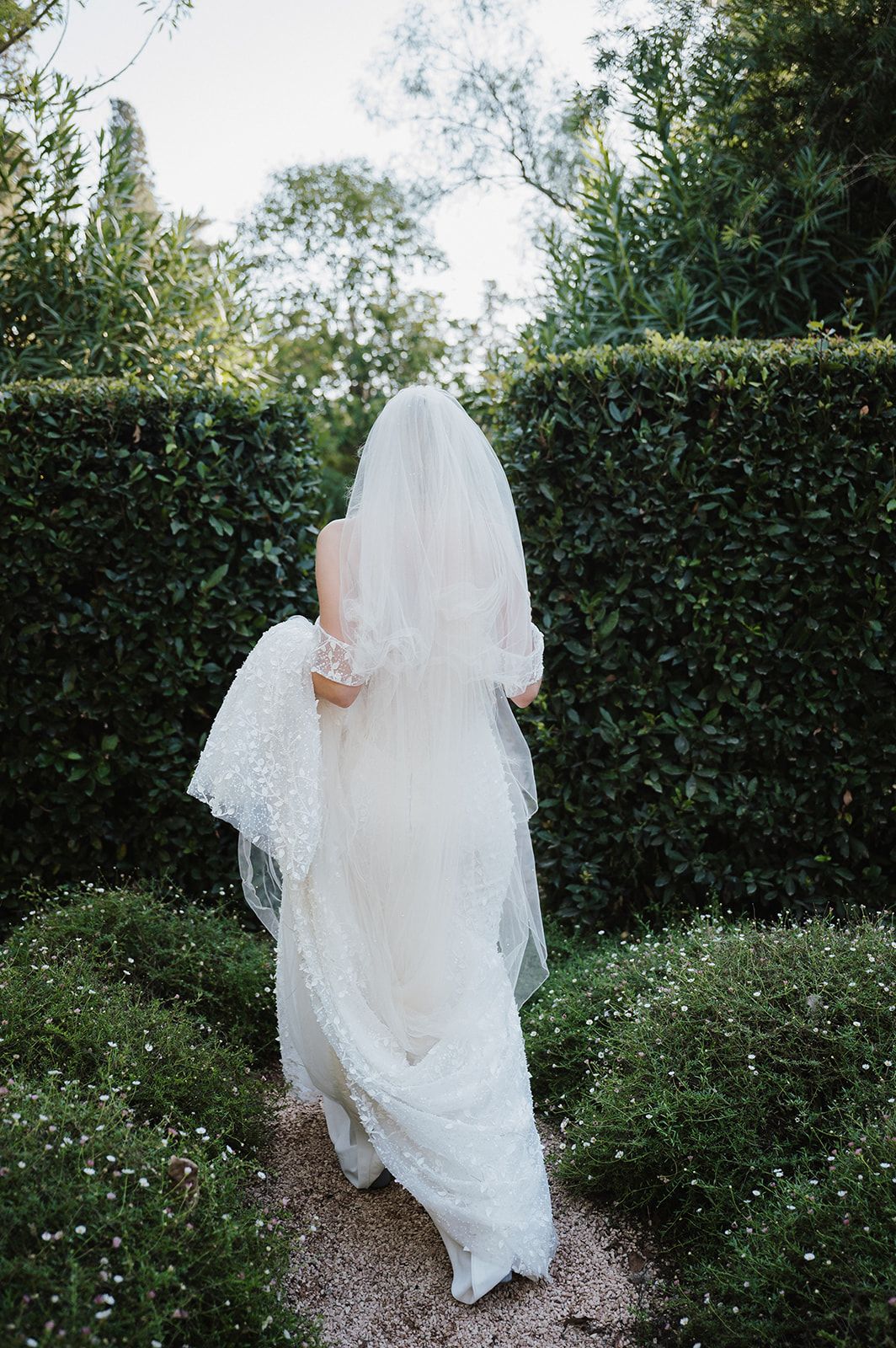 Bride in lace wedding dress and veil walks through manicured hedge garden pathway from behind.