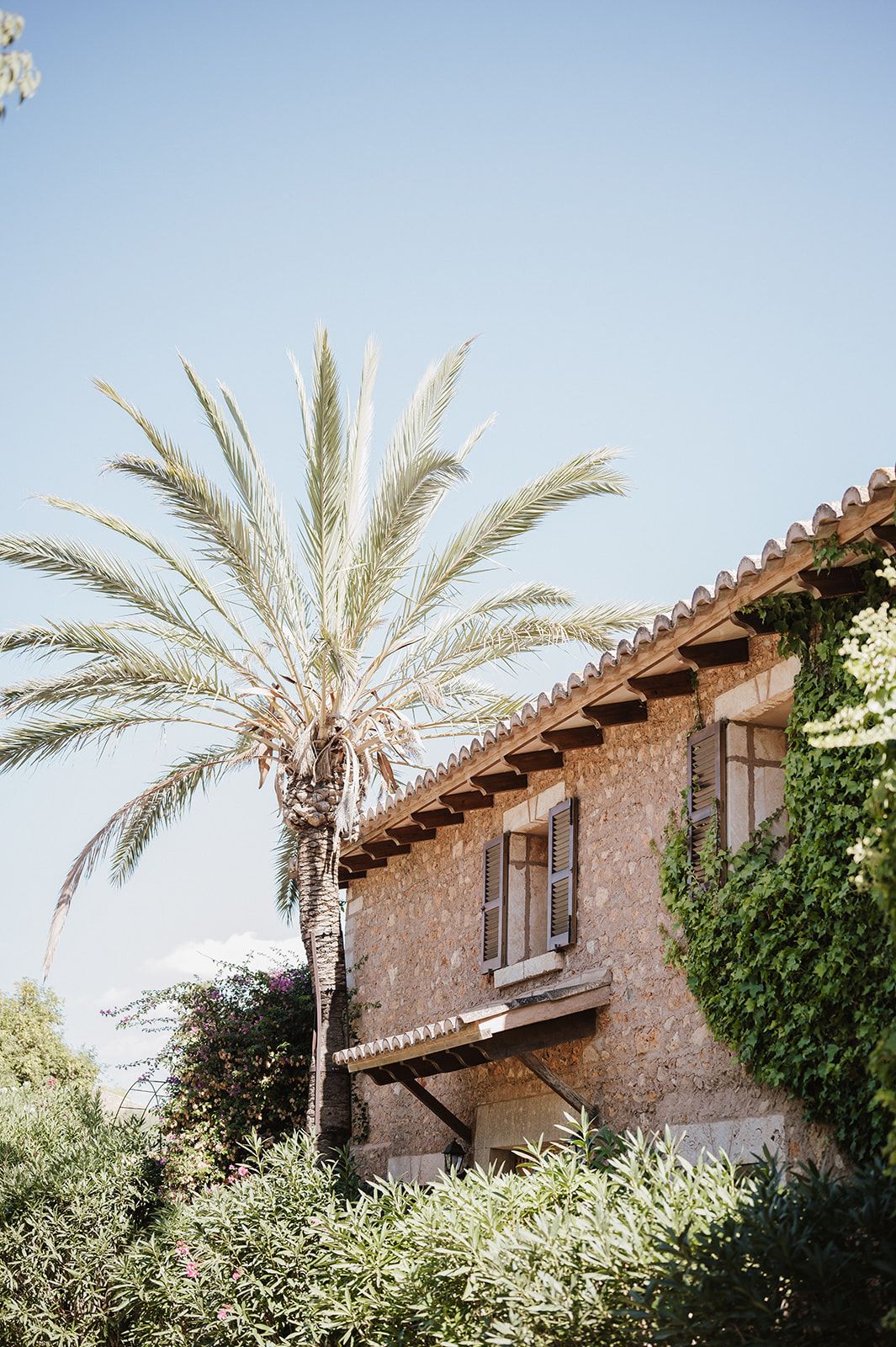 Rustic stone villa with wooden shutters, ivy-covered walls, and a tall palm tree under clear blue sky.