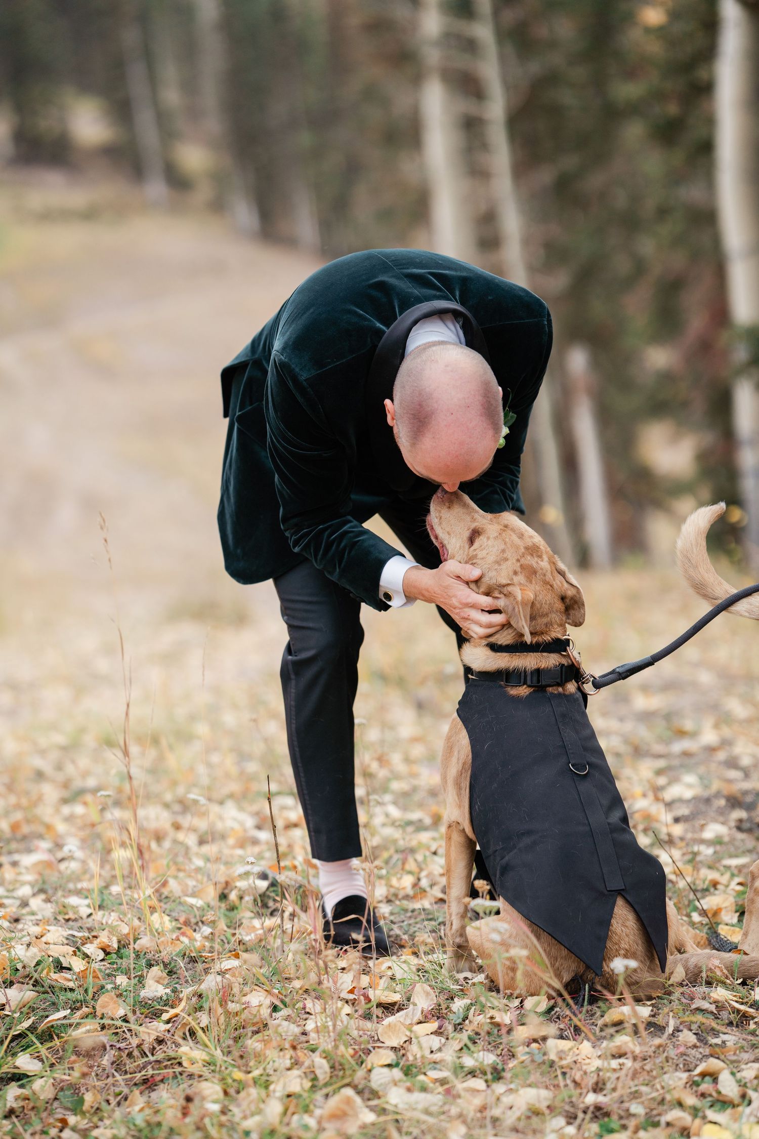 Bald groom in green velvet tuxedo kissing his dog wearing a black jacket in an autumn forest setting.