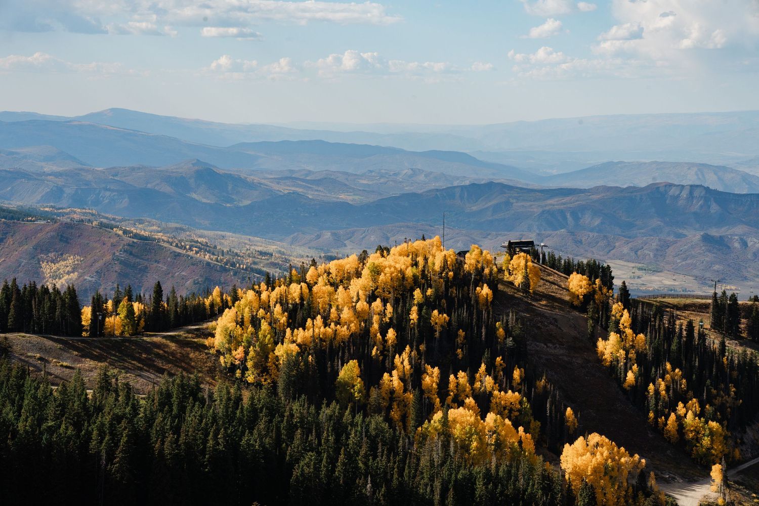 Stunning autumn mountain landscape with golden aspen trees covering a hilltop in Aspen, Colorado.