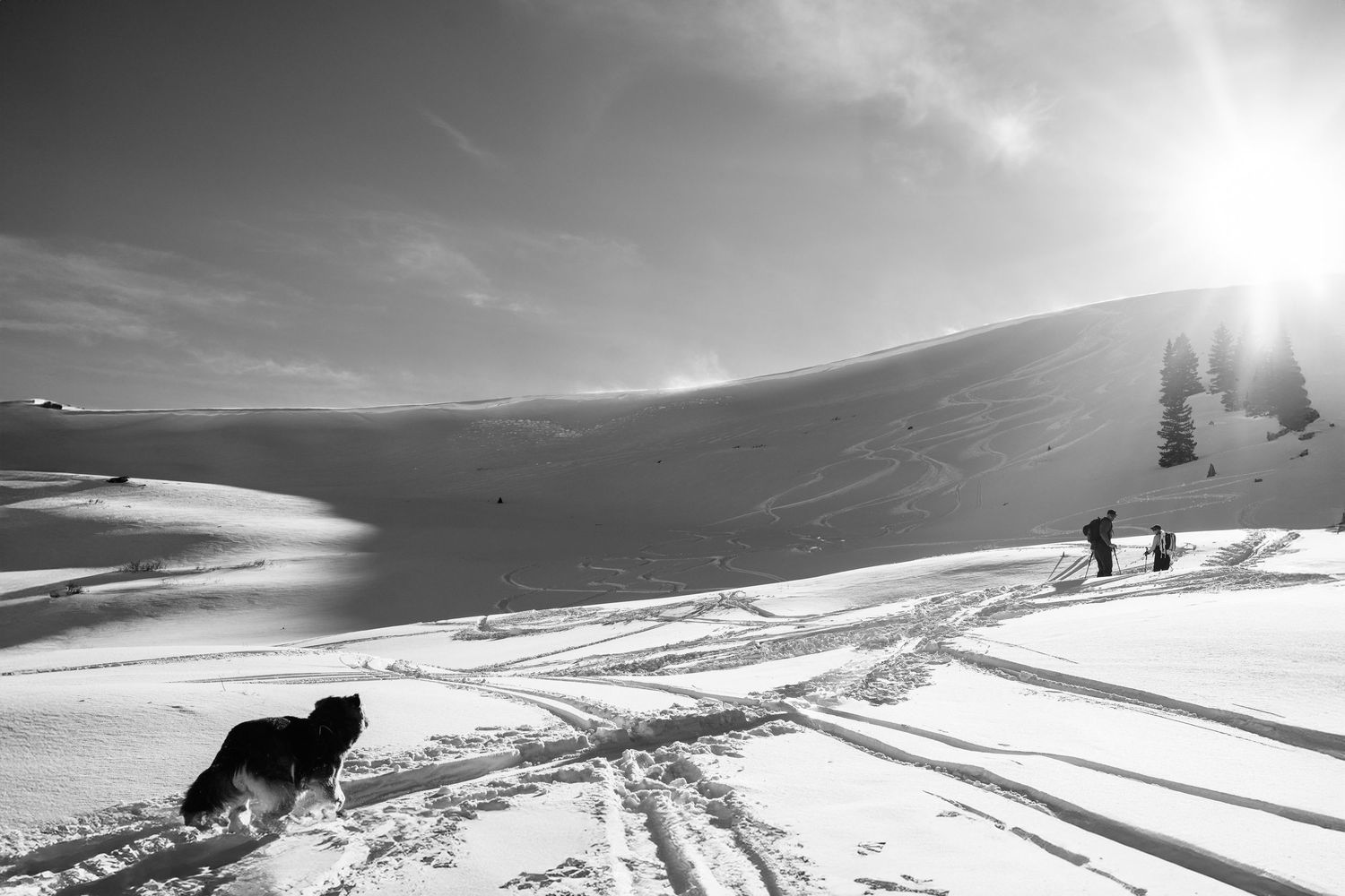 Black and white photo of a dog running through deep snow while two skiers ascend a sunlit mountain slope.