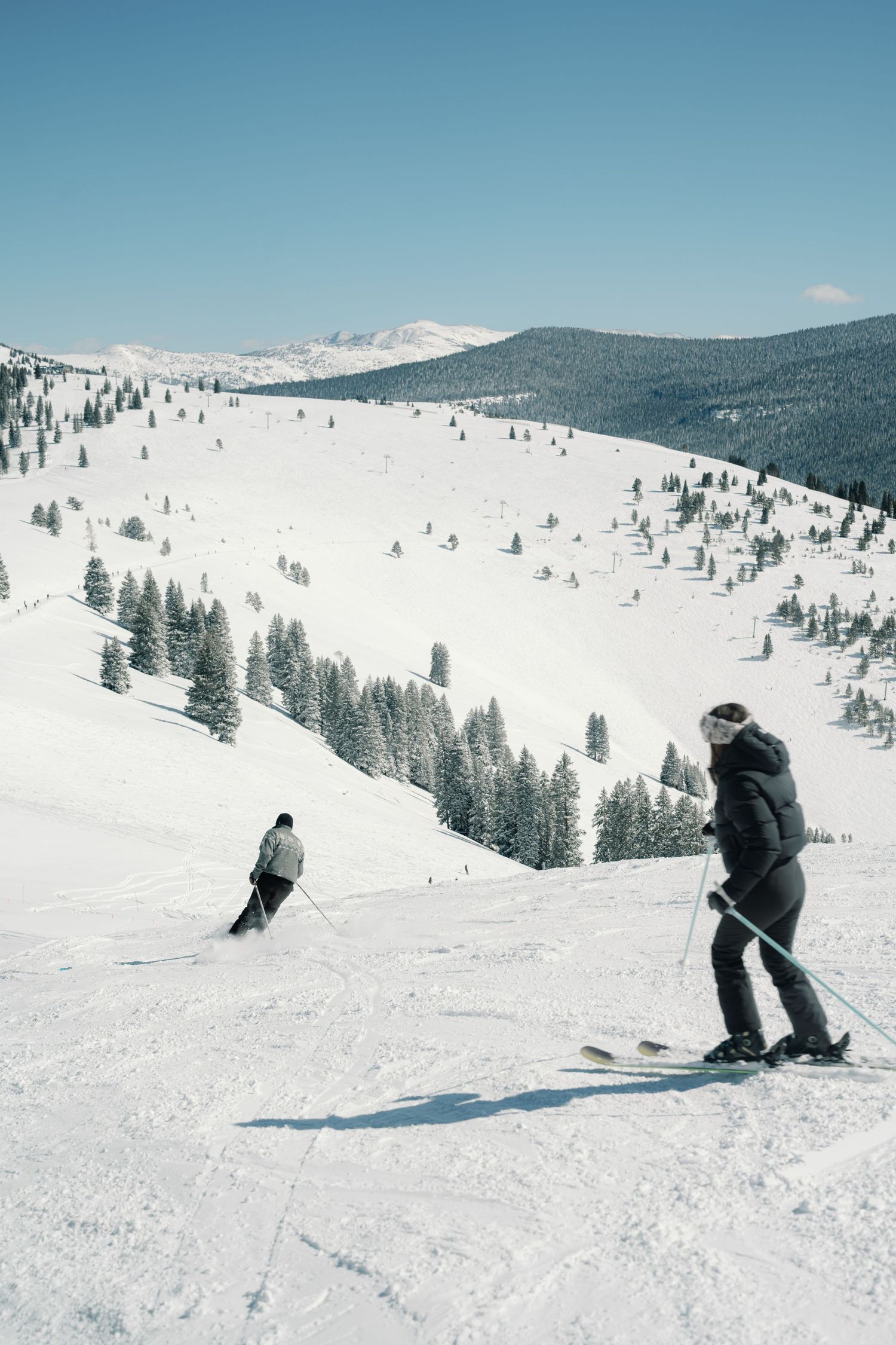 Two skiers descend a wide snow-covered mountain slope lined with evergreen trees under a clear blue sky.