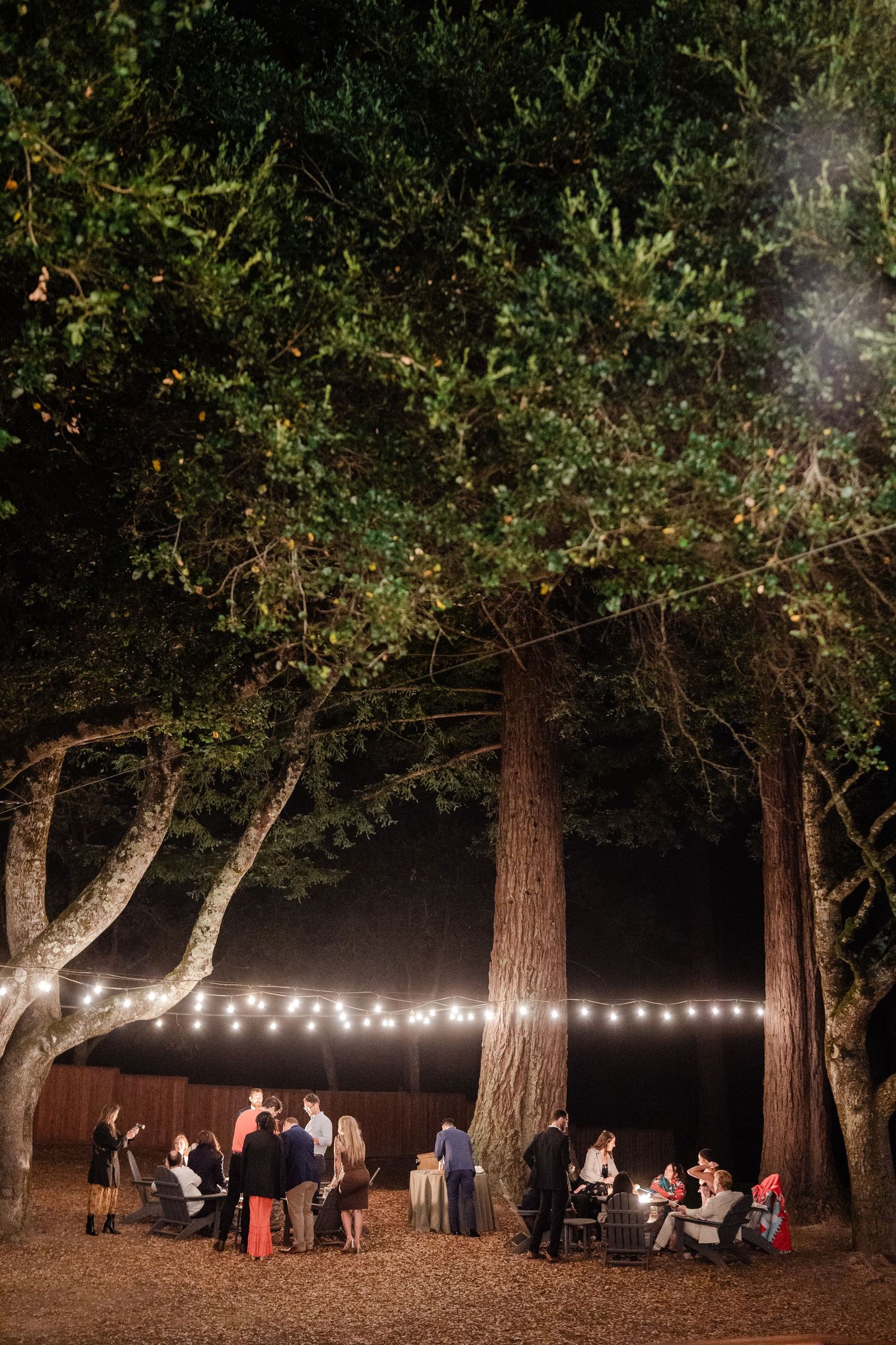 Wedding guests mingle under string lights among towering trees at nighttime outdoor reception.