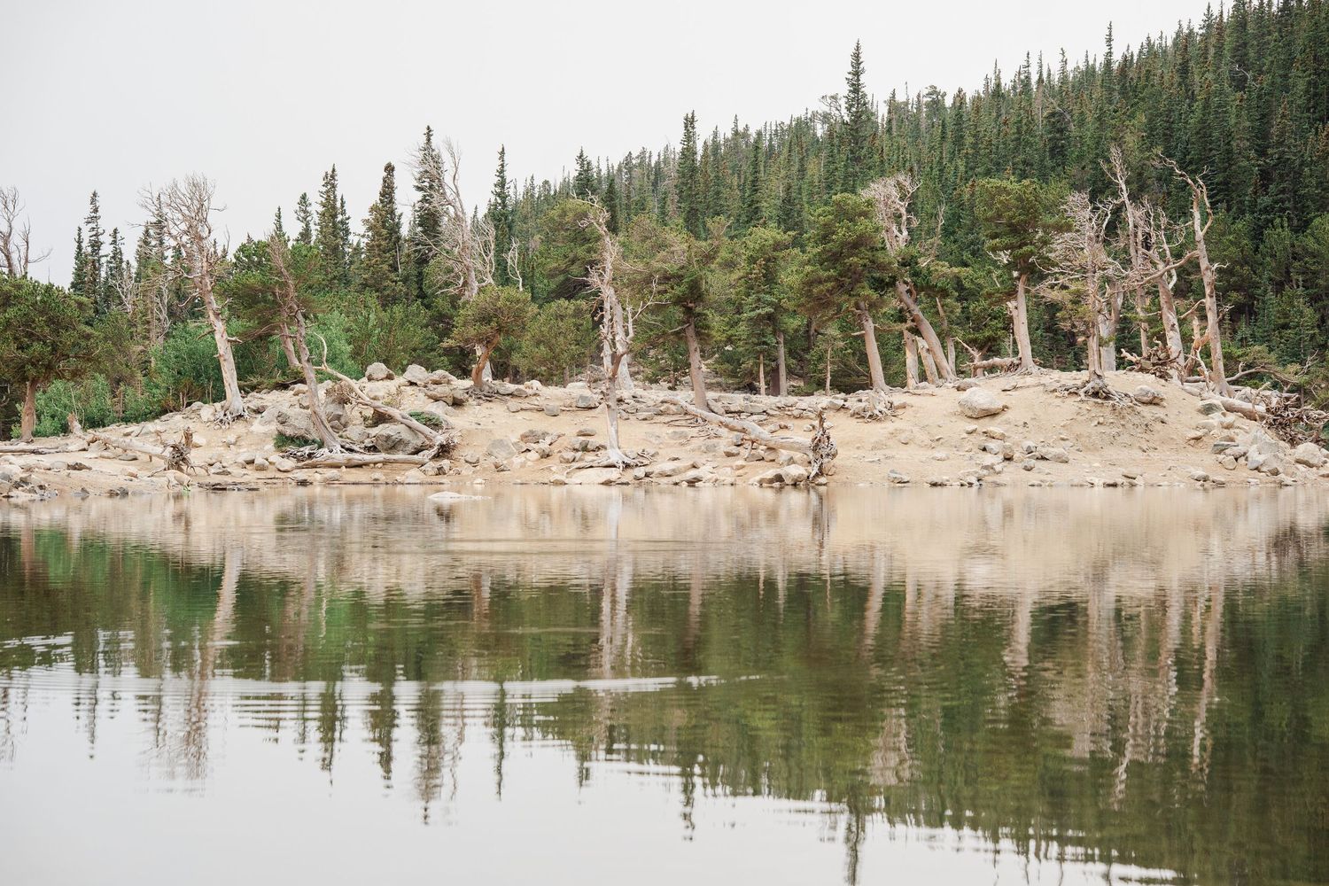 Serene alpine lake reflecting pine trees and sandy shore in a misty wilderness landscape.