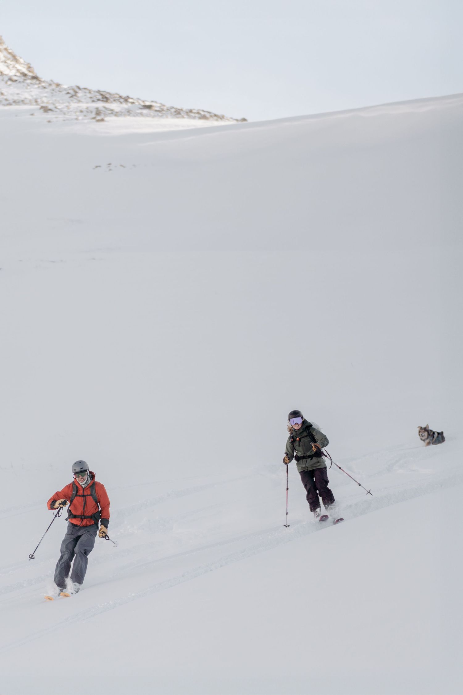 Two backcountry skiers in red and purple jackets ascend a snowy slope with a dog following behind them.
