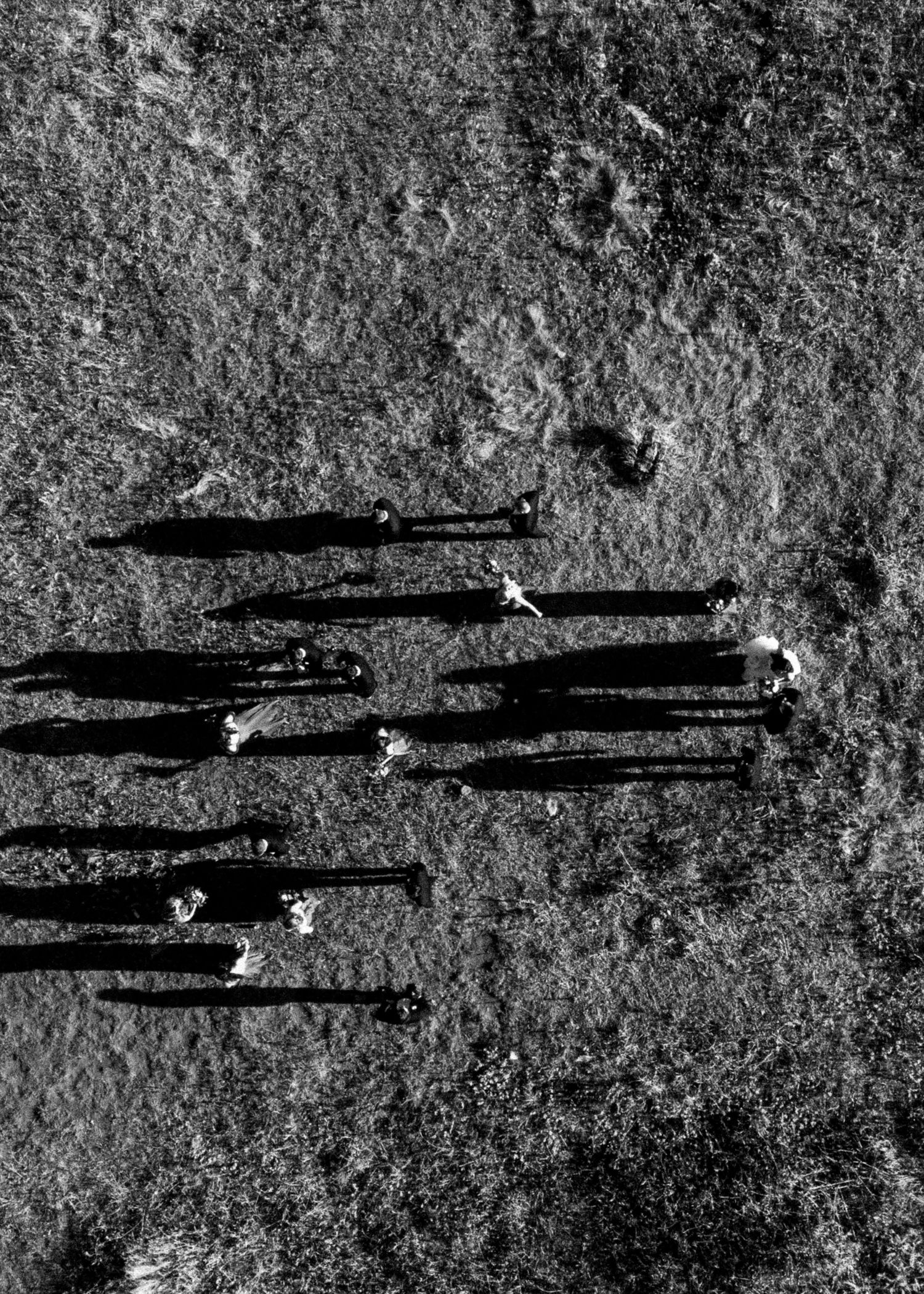 Black and white aerial view of wedding party casting long shadows across grassy field.