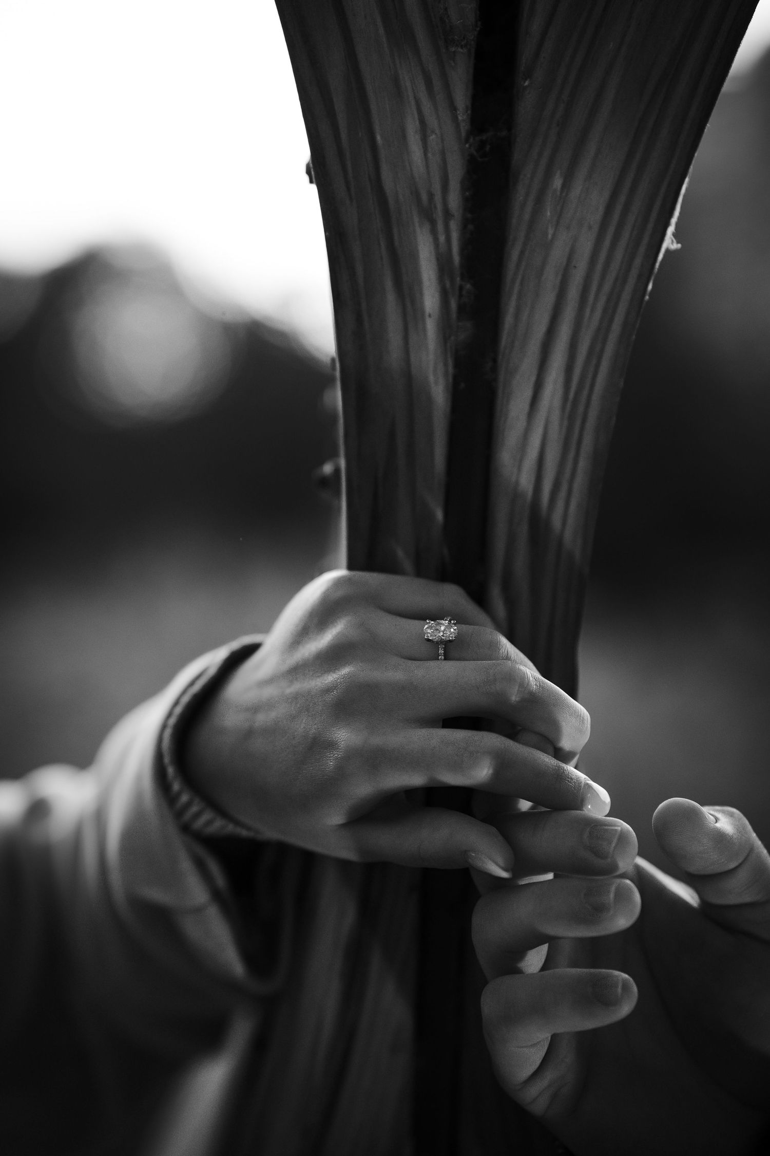 Close-up black and white photo of engaged couple's hands holding wooden sculpture, diamond ring visible.