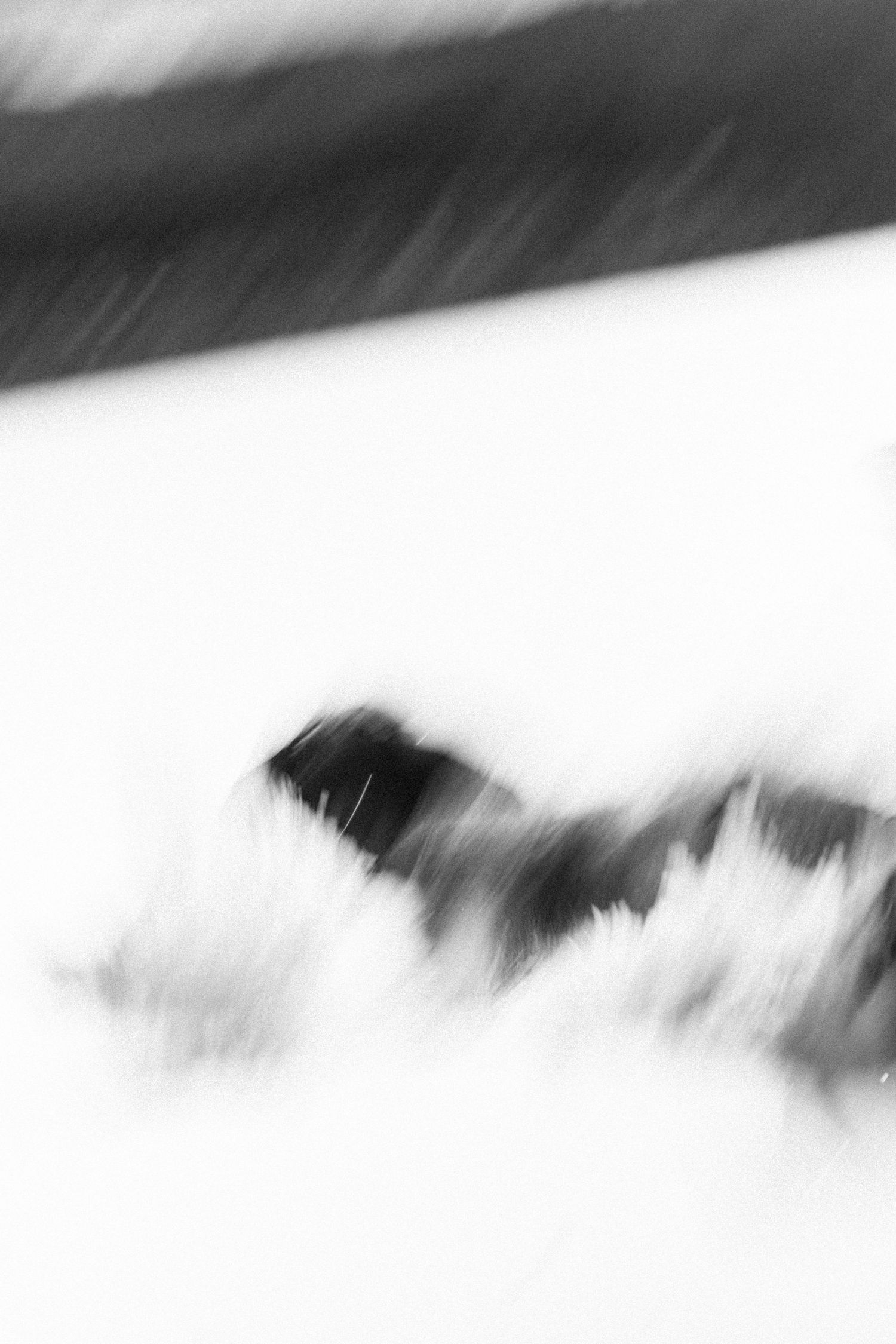Blurry black and white abstract photo of a dark animal moving through snow.
