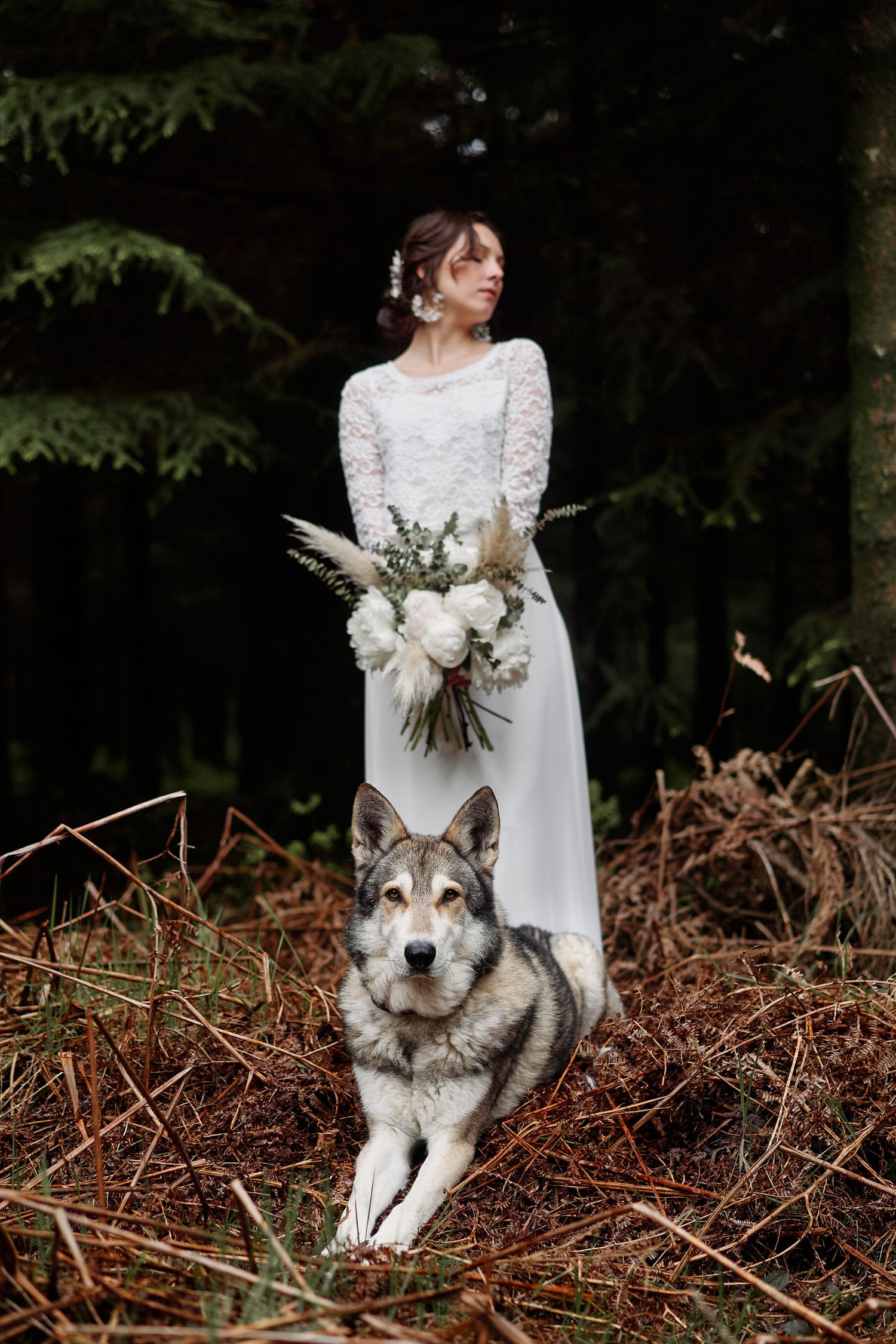 A bridal photoshoot in a forest setting features a majestic wolf companion sitting among dried ferns and foliage.