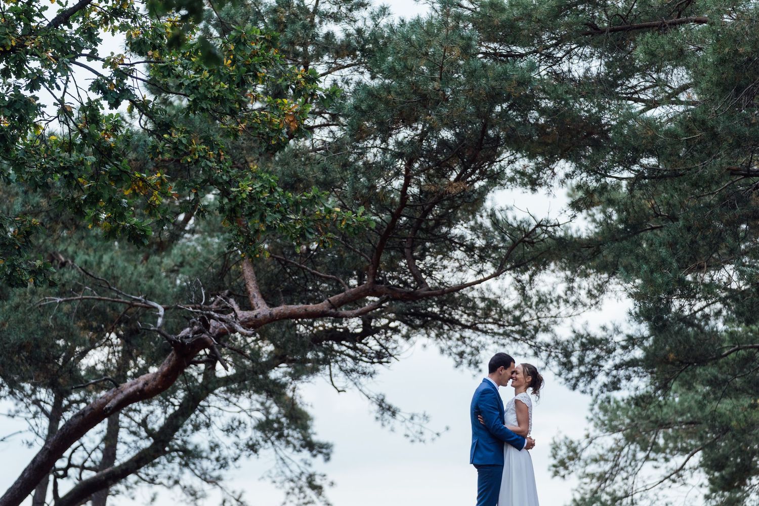 Couple embraces under tall pine trees during outdoor engagement photo session in natural forest setting.