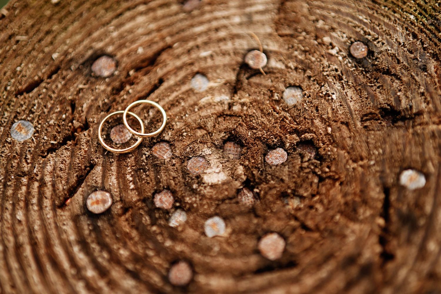 Wedding rings rest on rustic wooden surface with water droplets creating a romantic macro photograph.