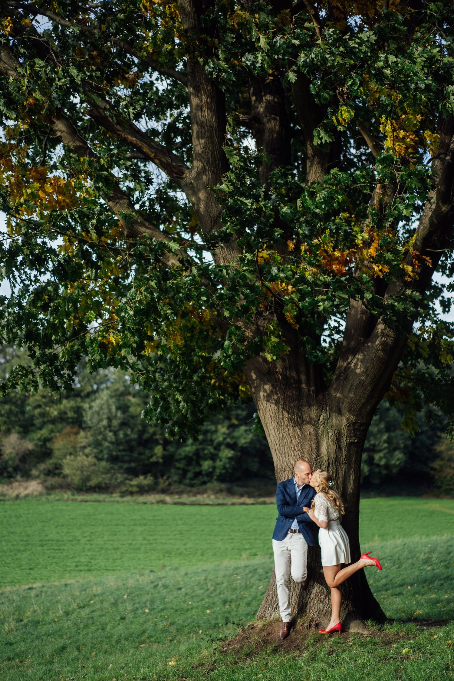 A couple shares a romantic moment under a large tree in a green field on a sunny day.