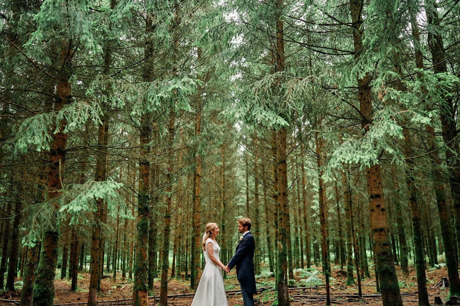 A couple stands together in a lush evergreen forest surrounded by towering trees and dappled sunlight.